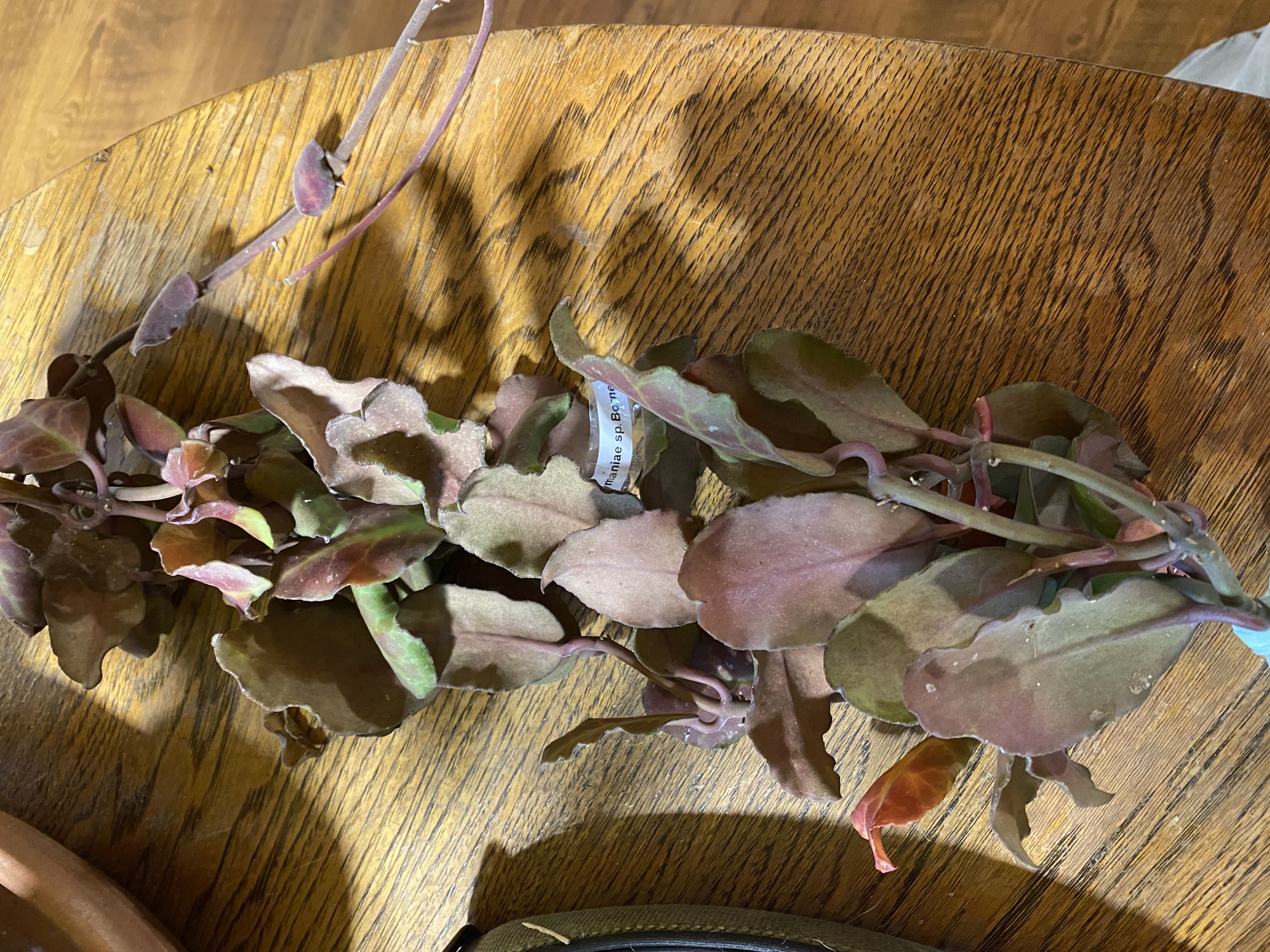 Photo from the post