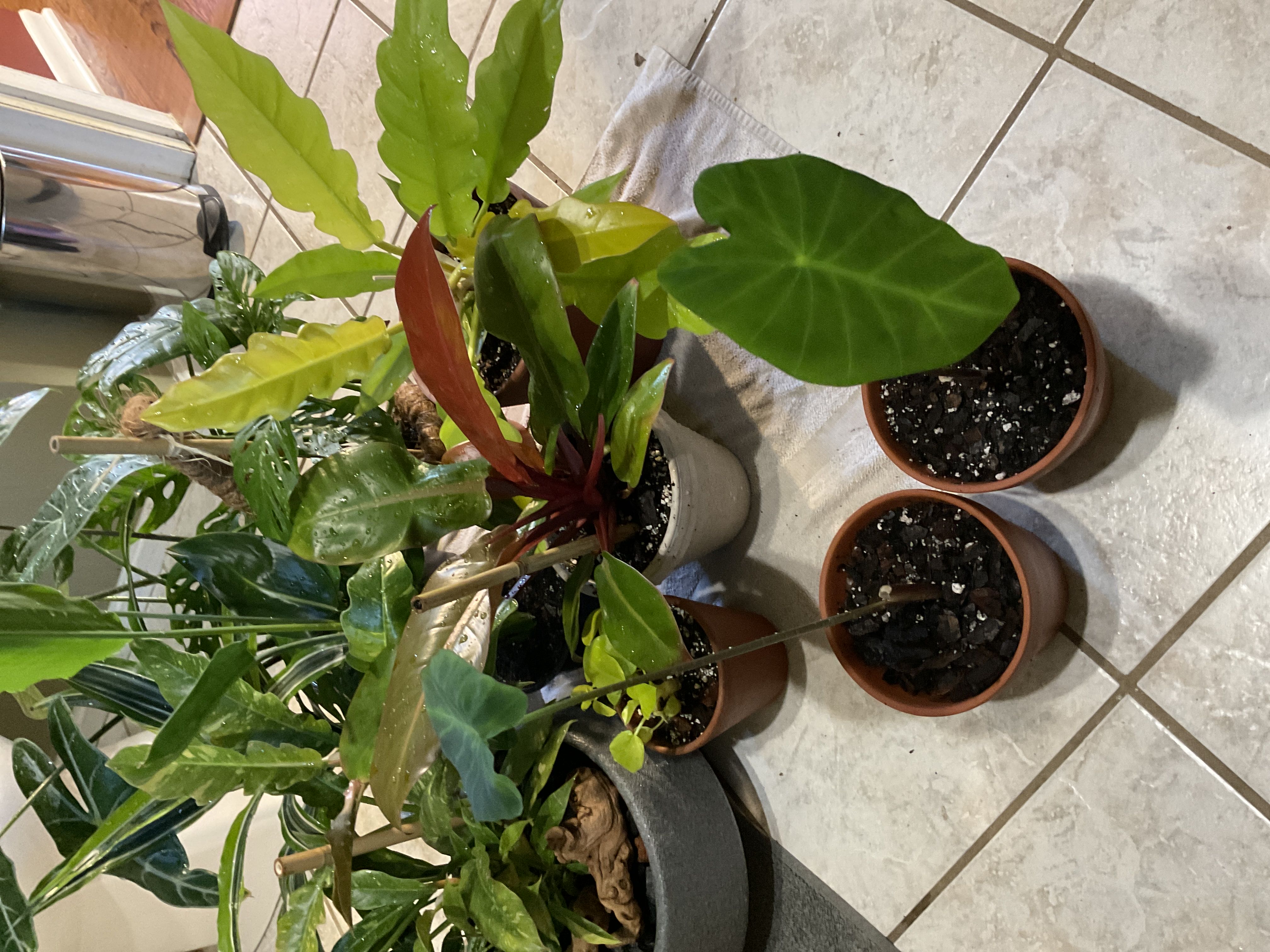 Photo from the post