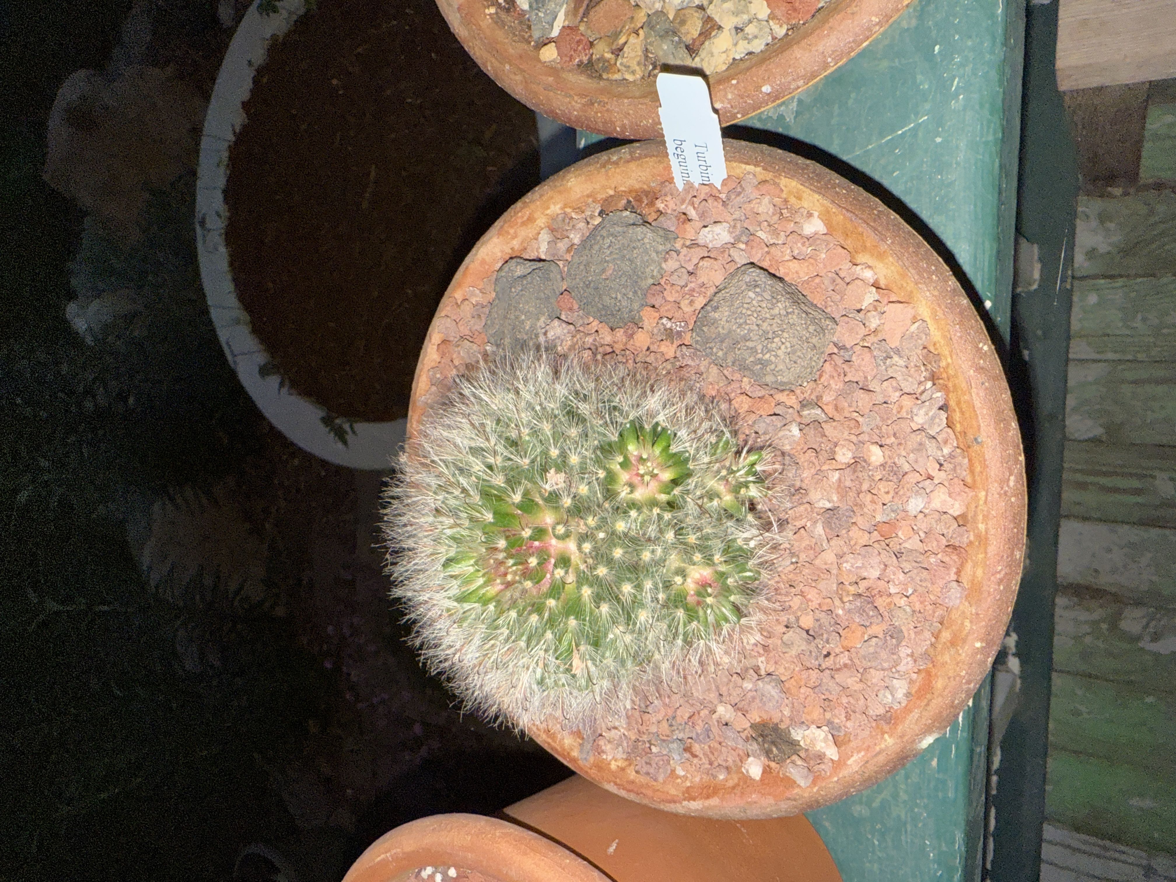 Photo from the post