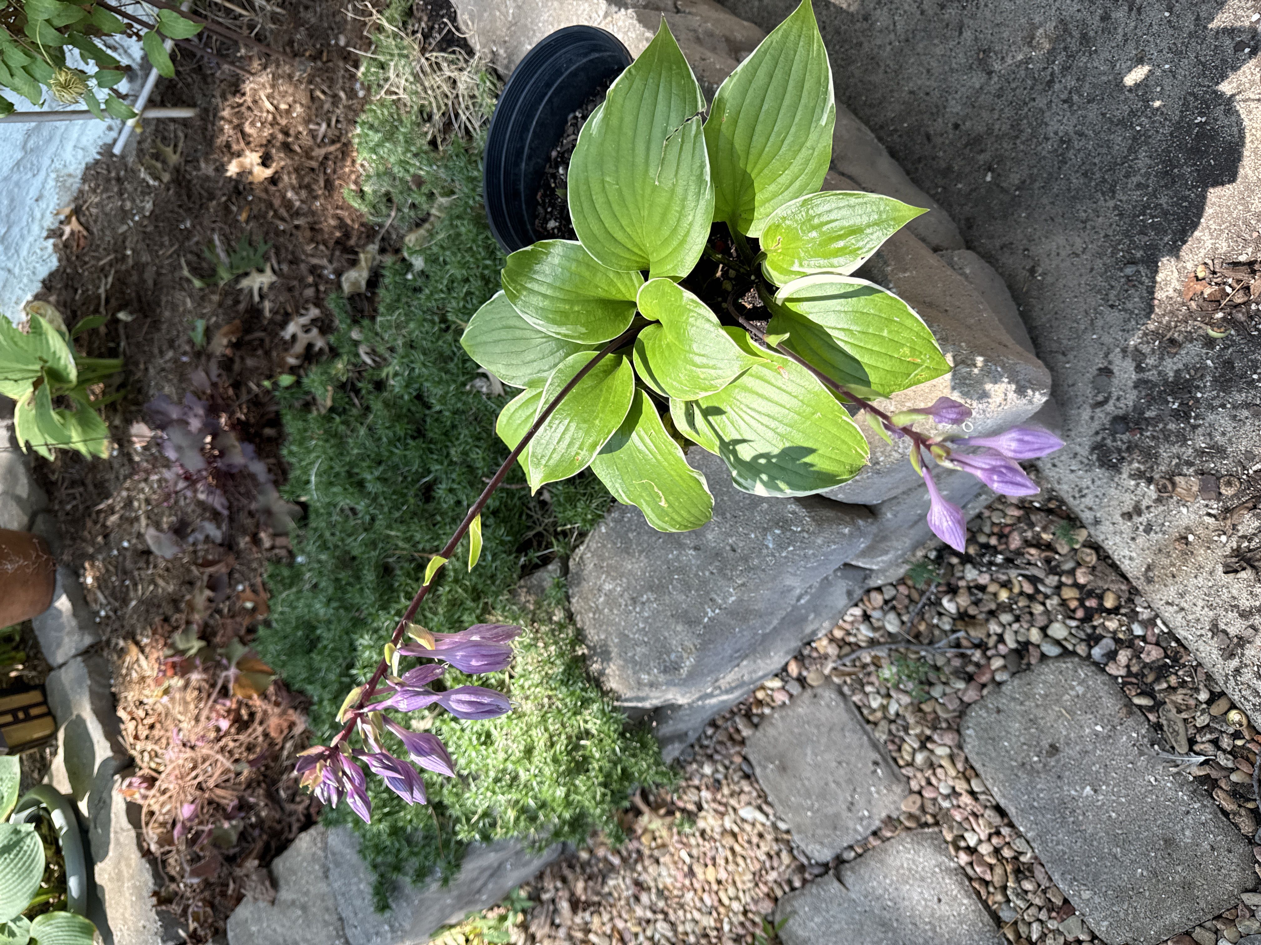 Photo from the post