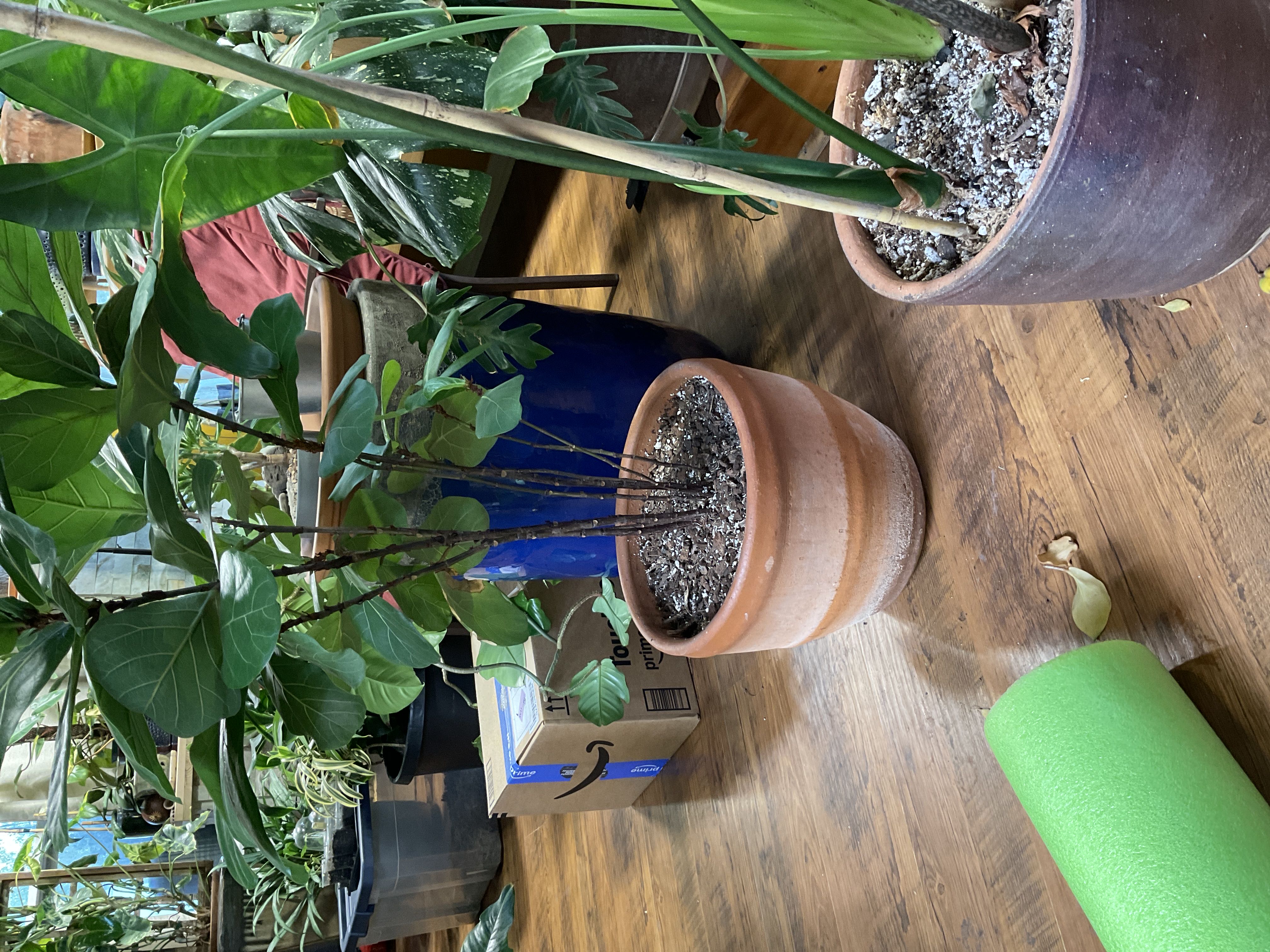 Photo from the post