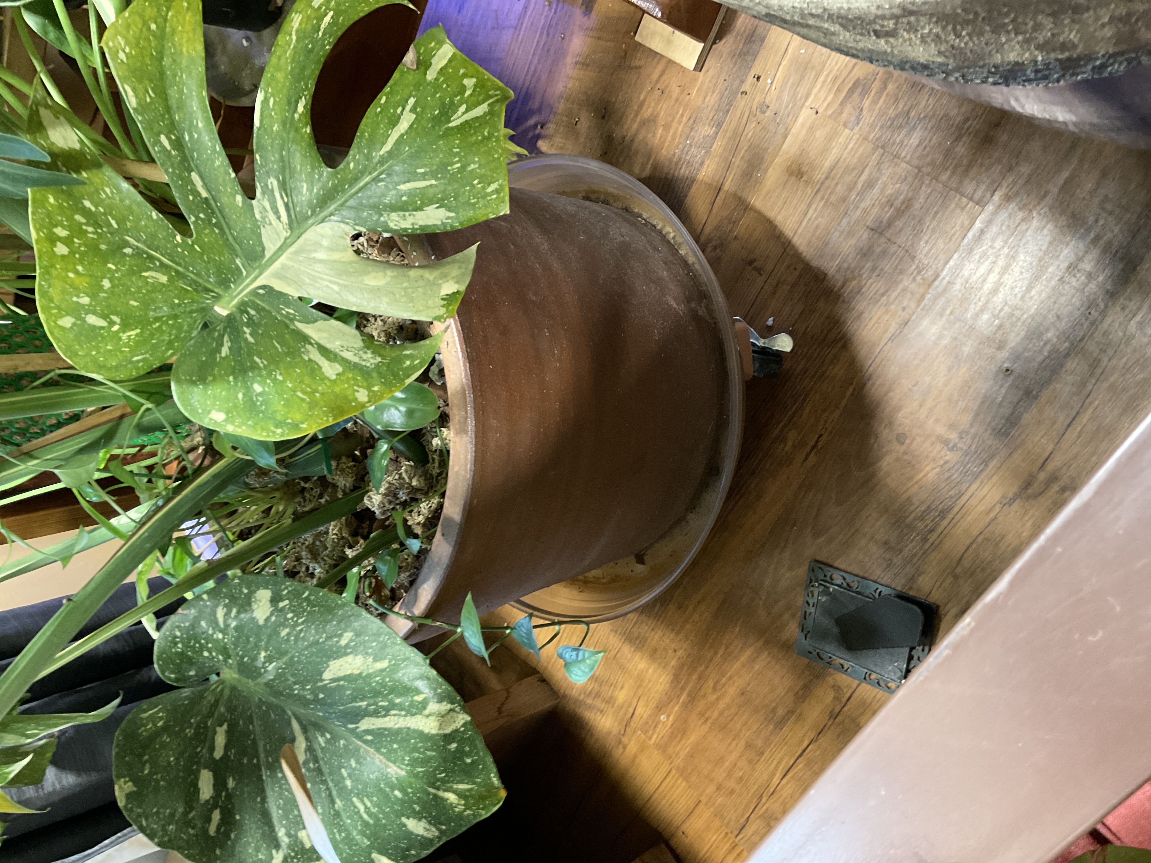 Photo from the post