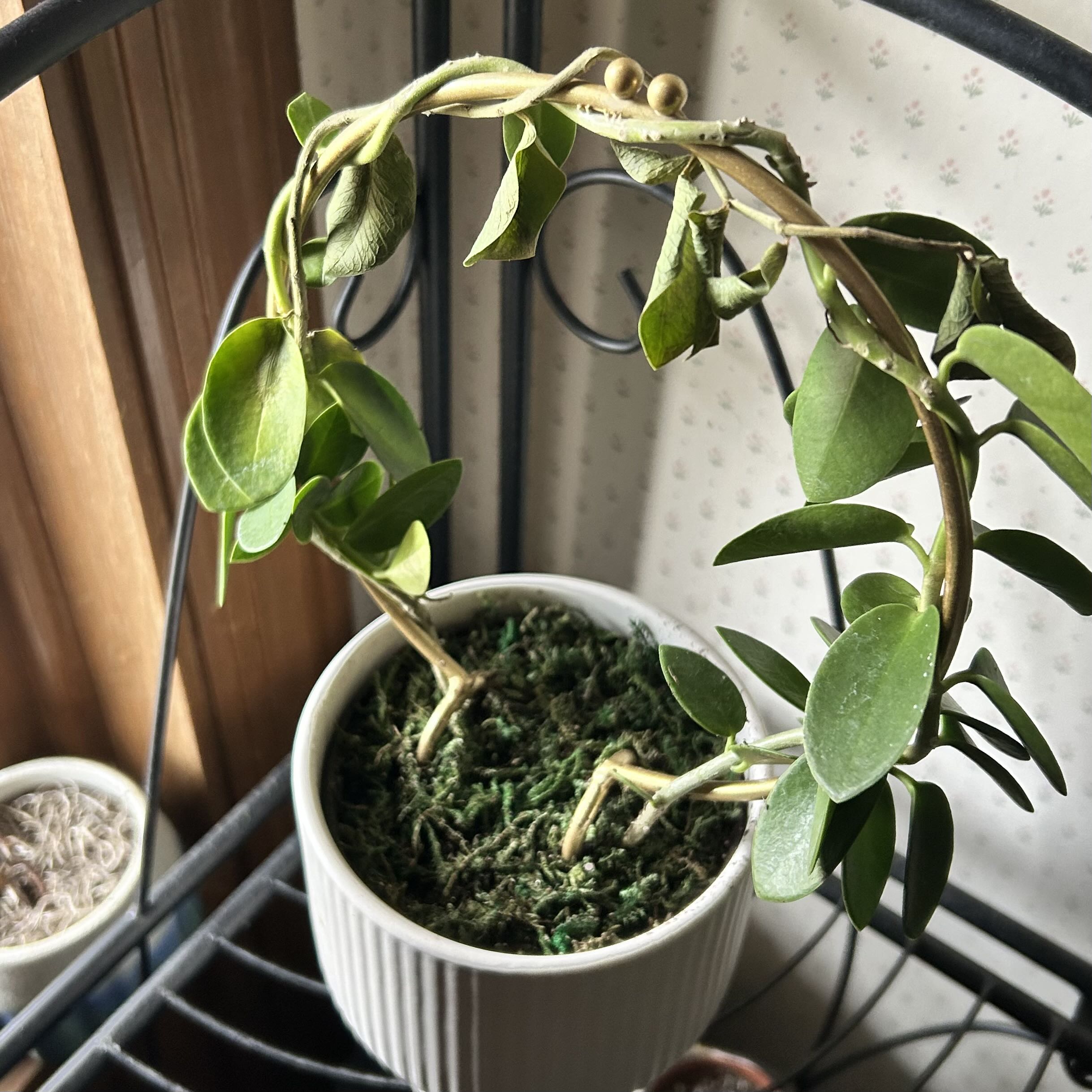 Photo from the post