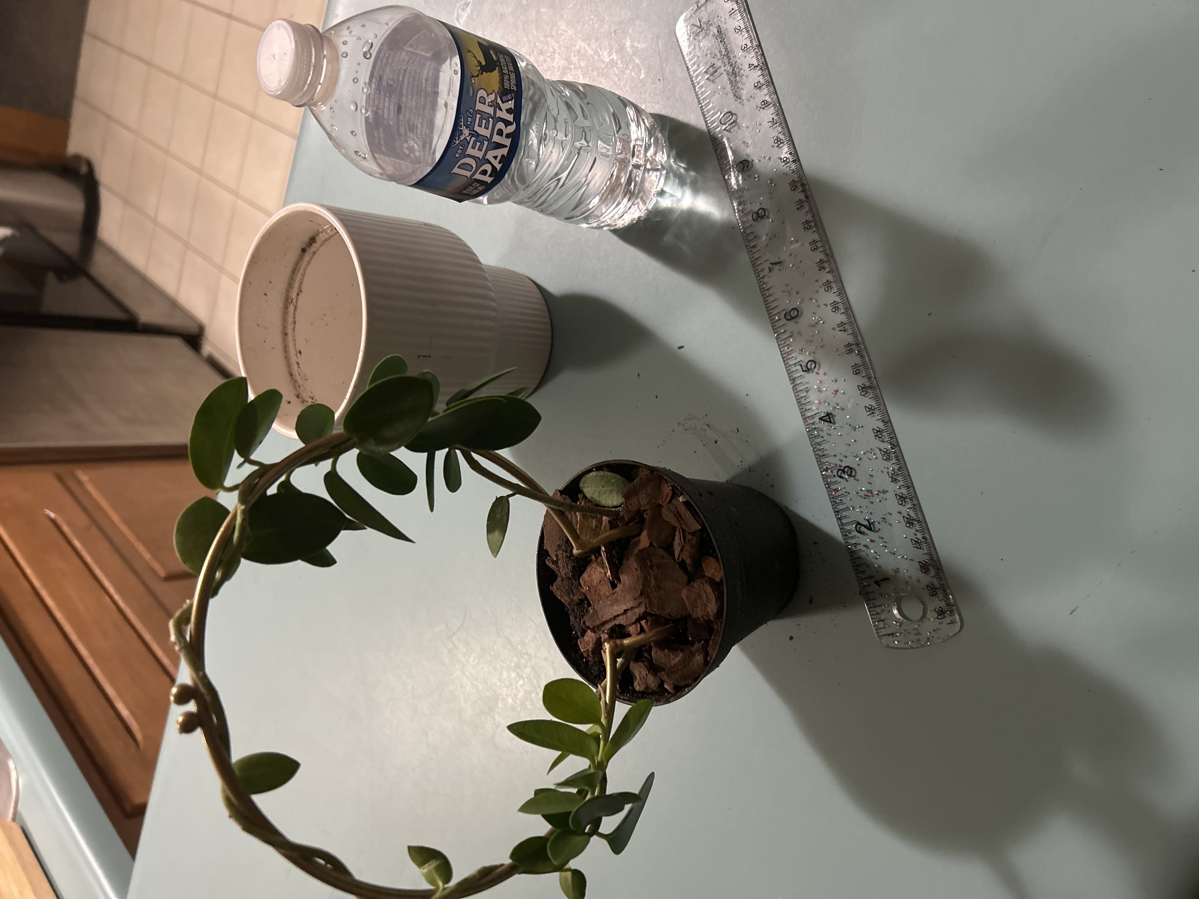 Photo from the post