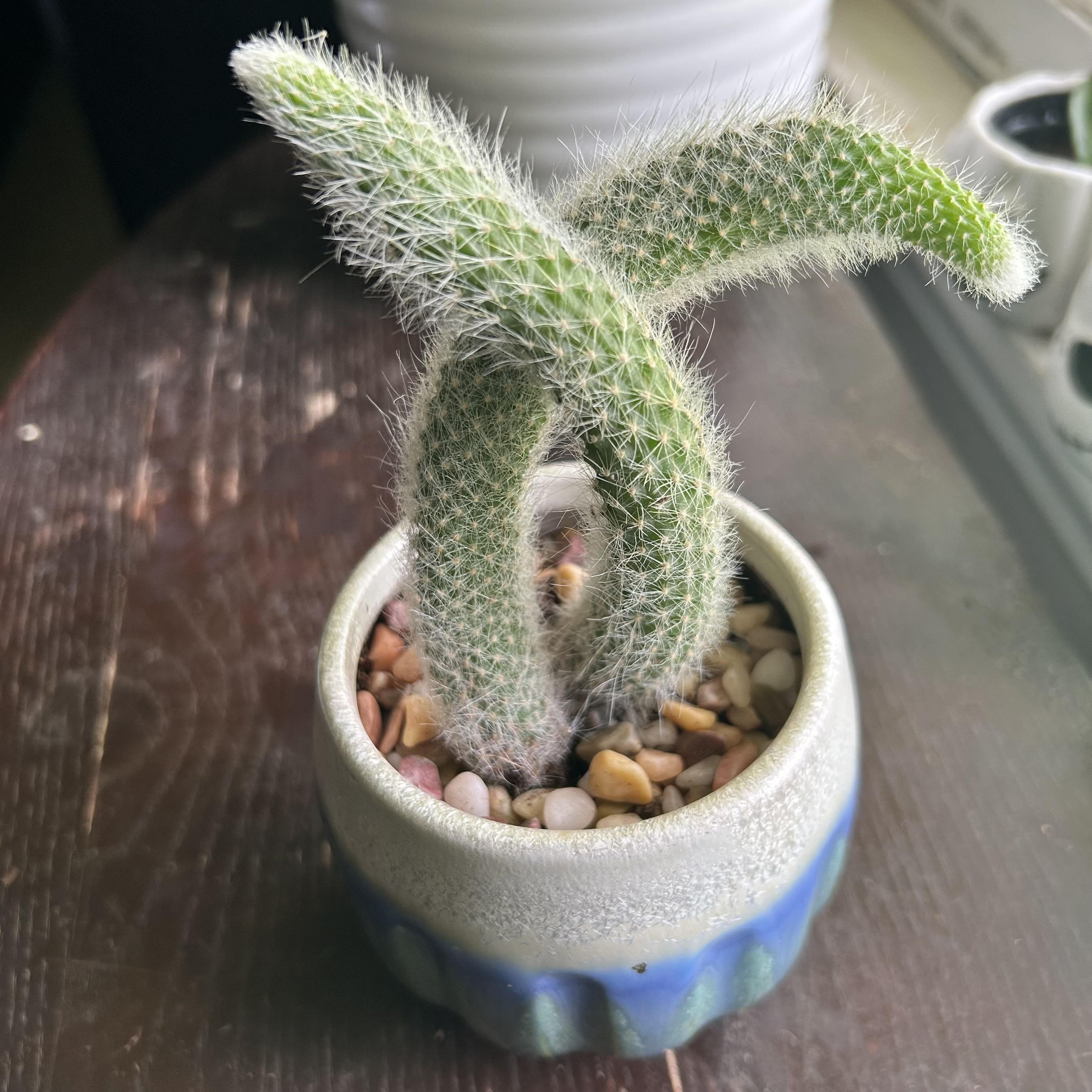 Photo from the post
