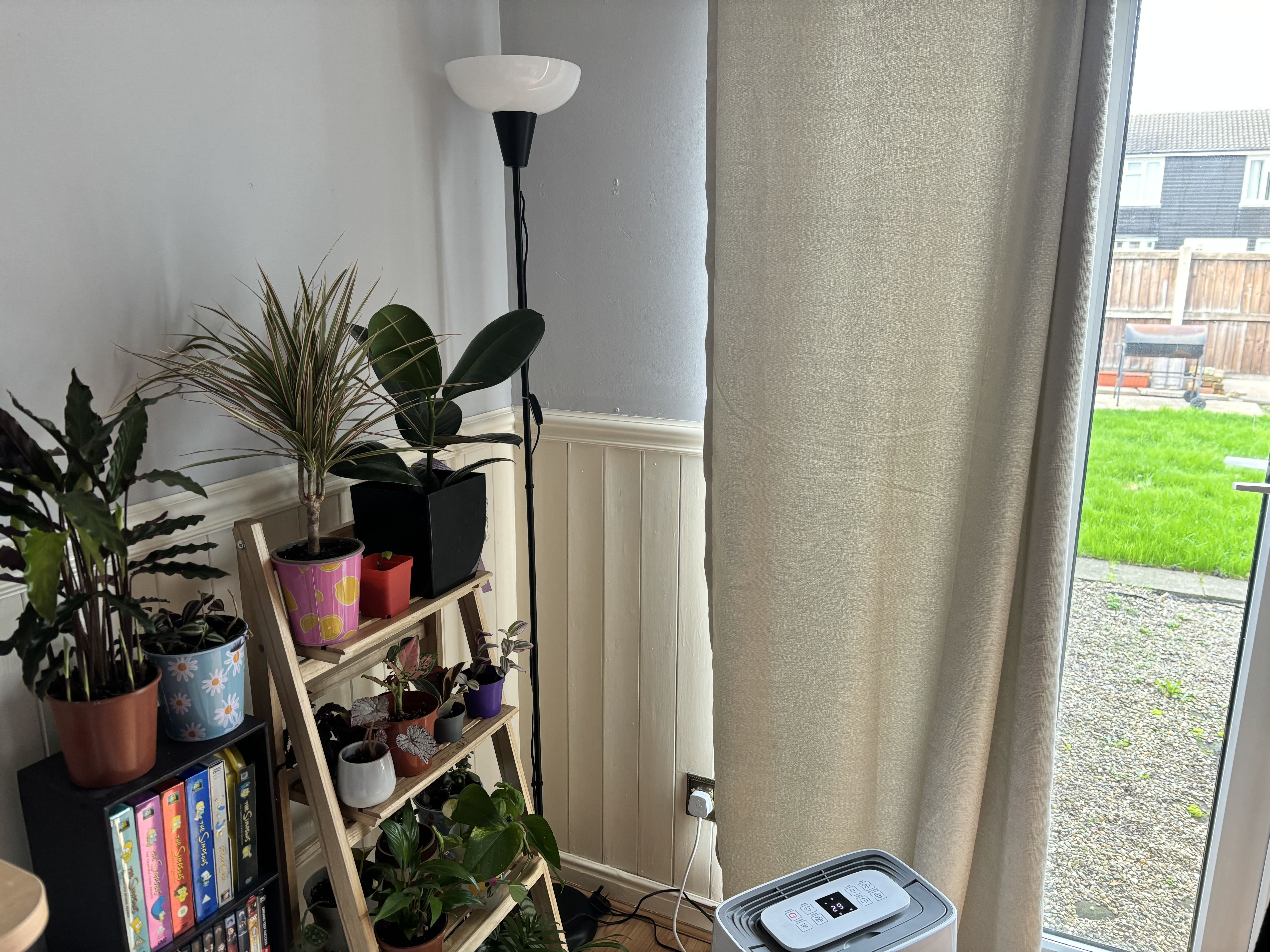 Photo from the post