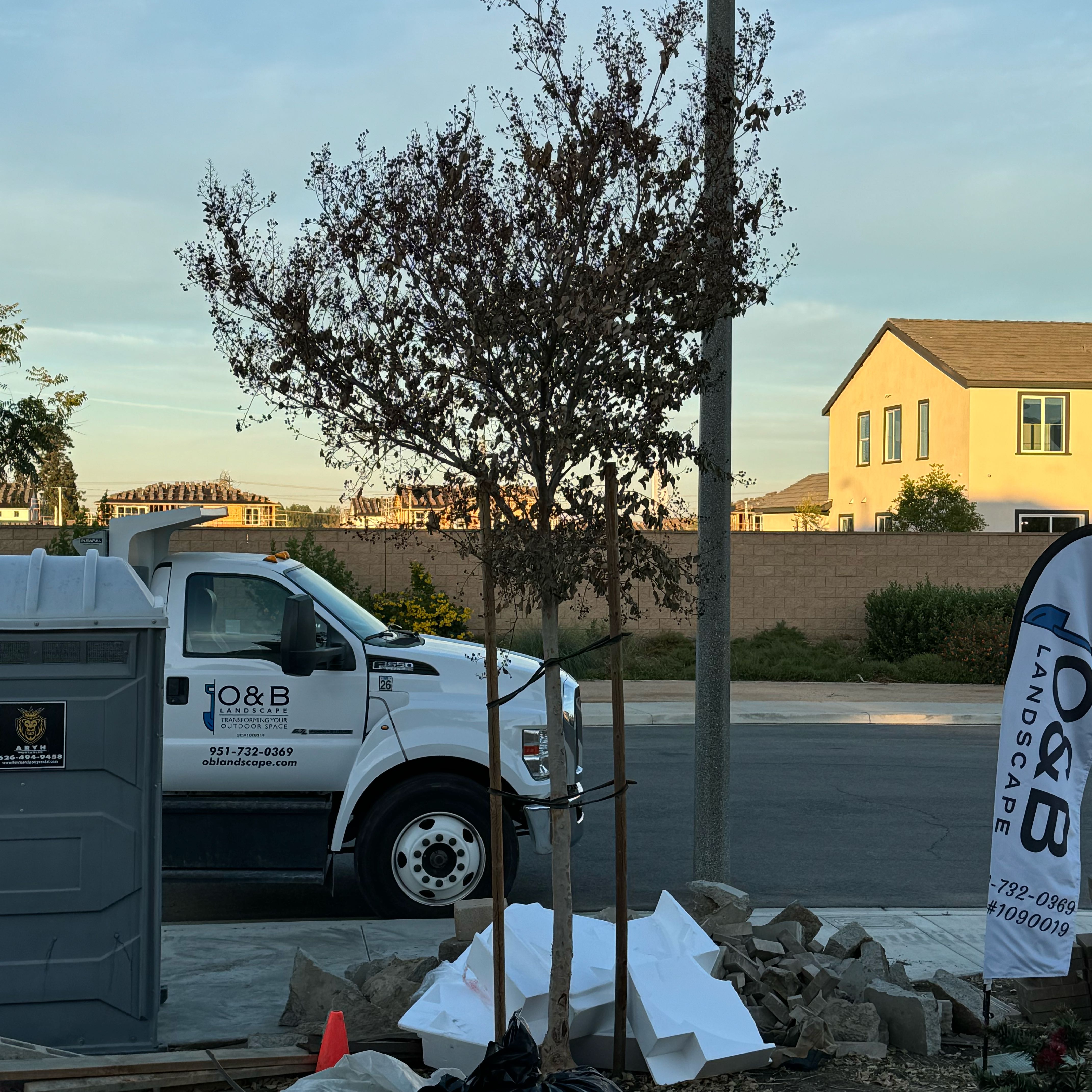 Photo of the plant species Natchez Crape Myrtle by @DeanIvorysedge named da Vinci on Greg, the plant care app