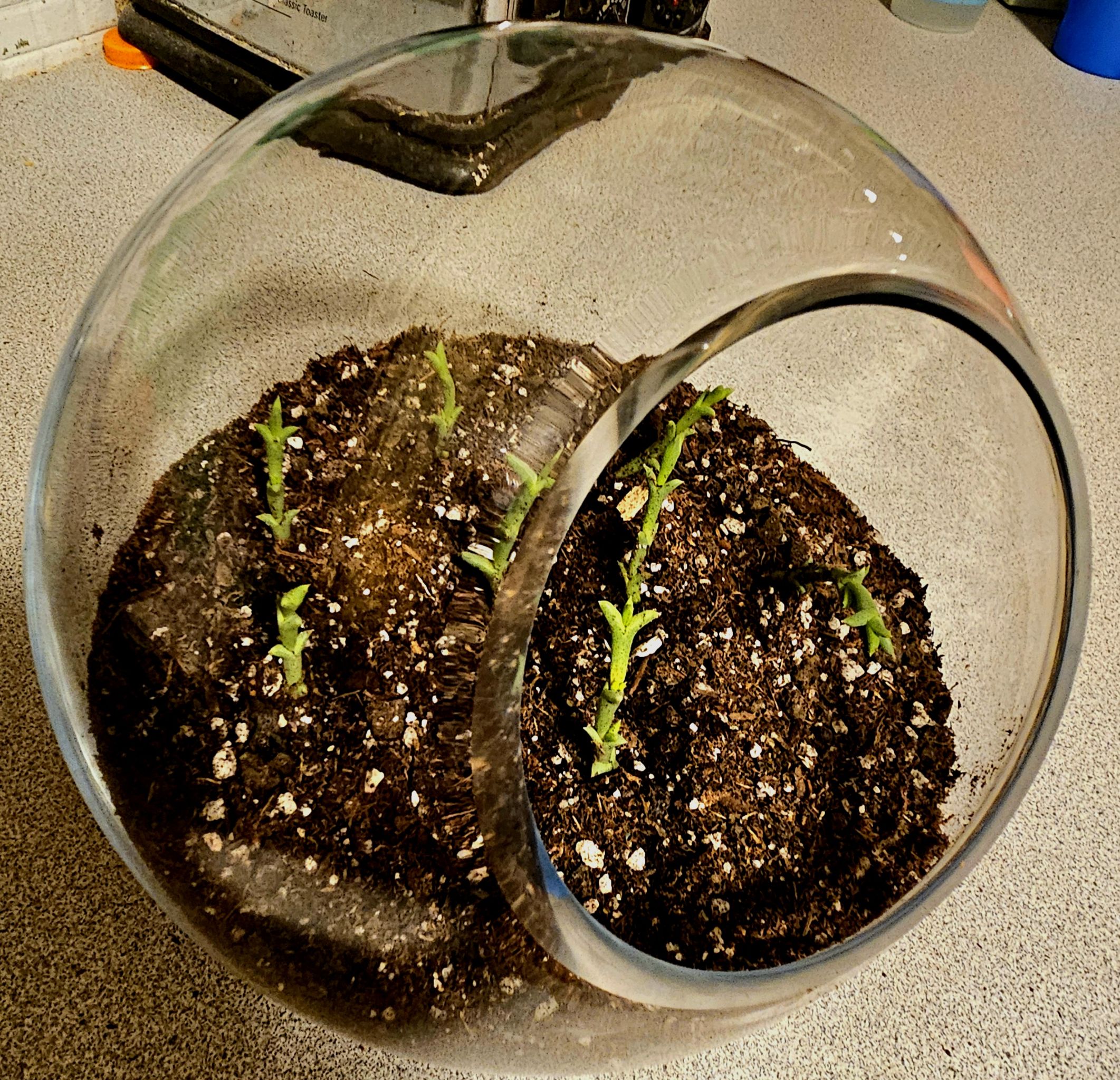 Photo from the post