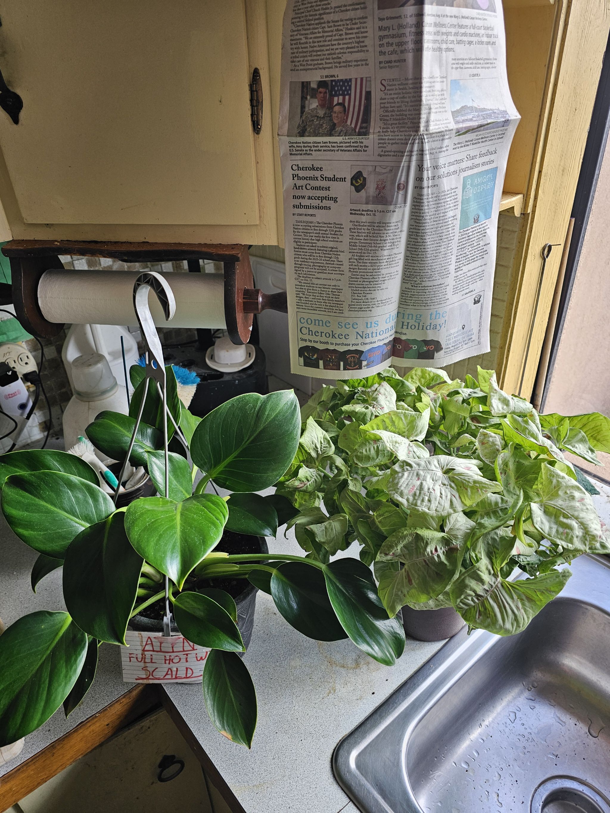 Photo from the post