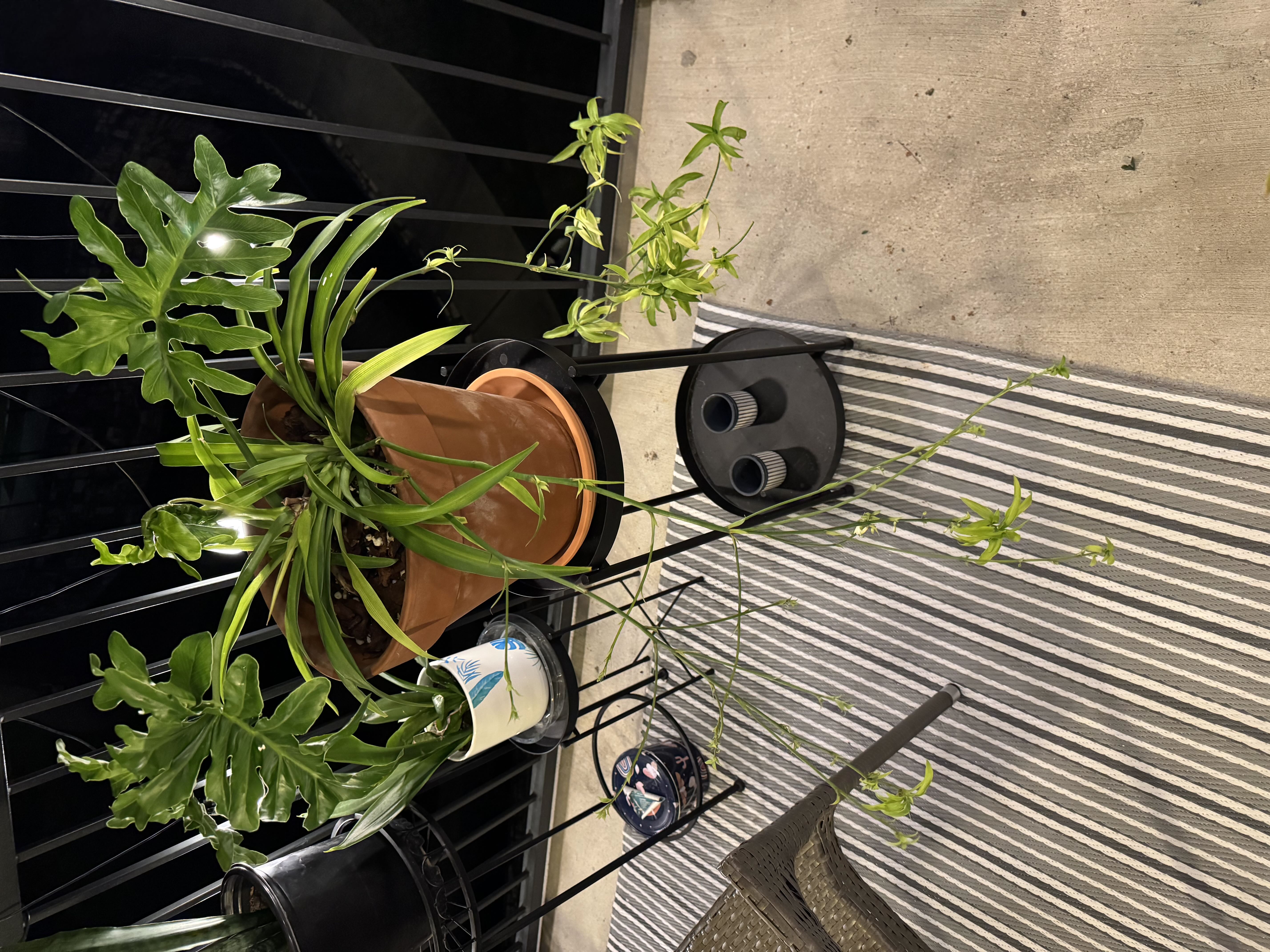 Photo from the post