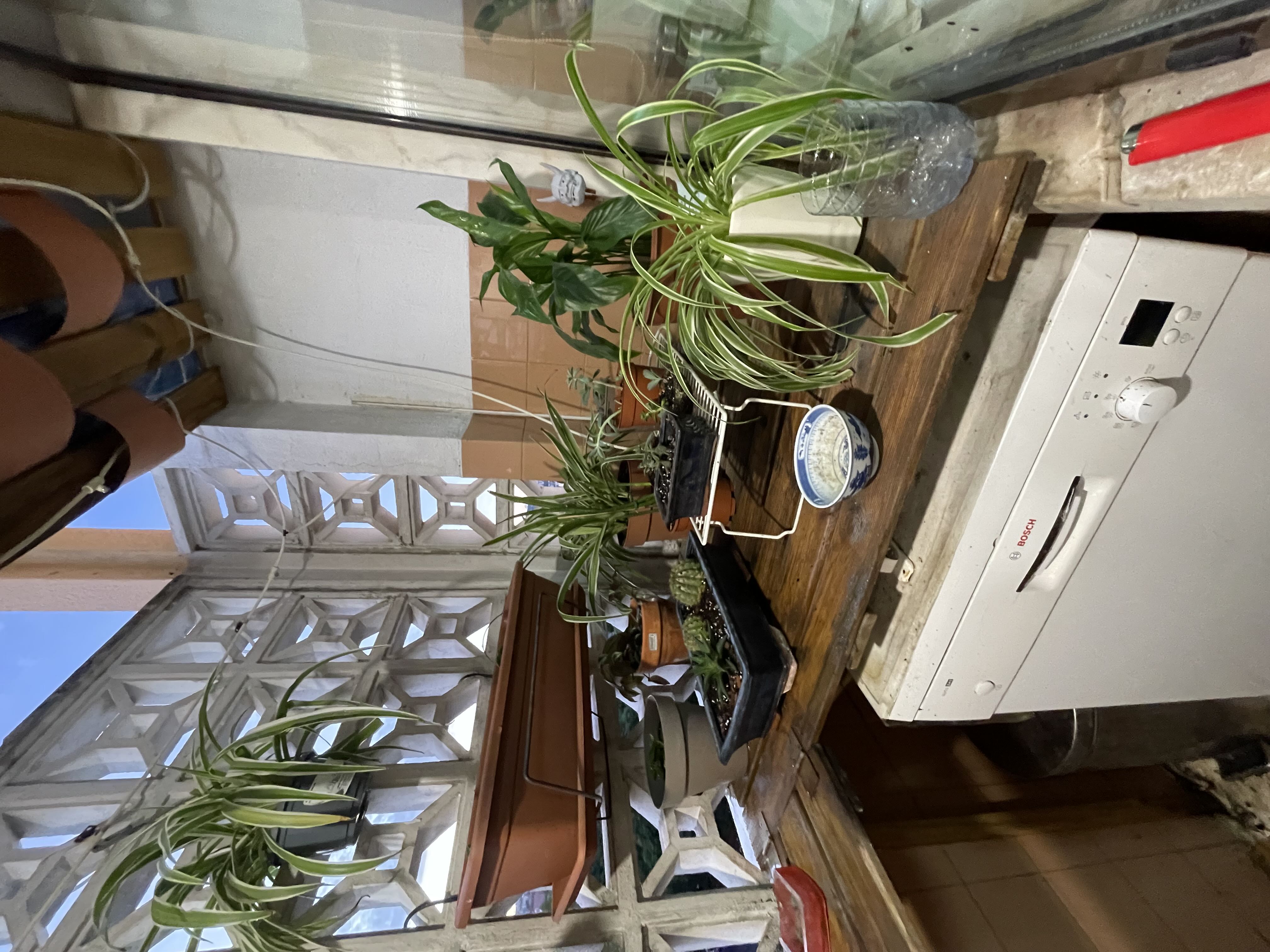 Photo from the post