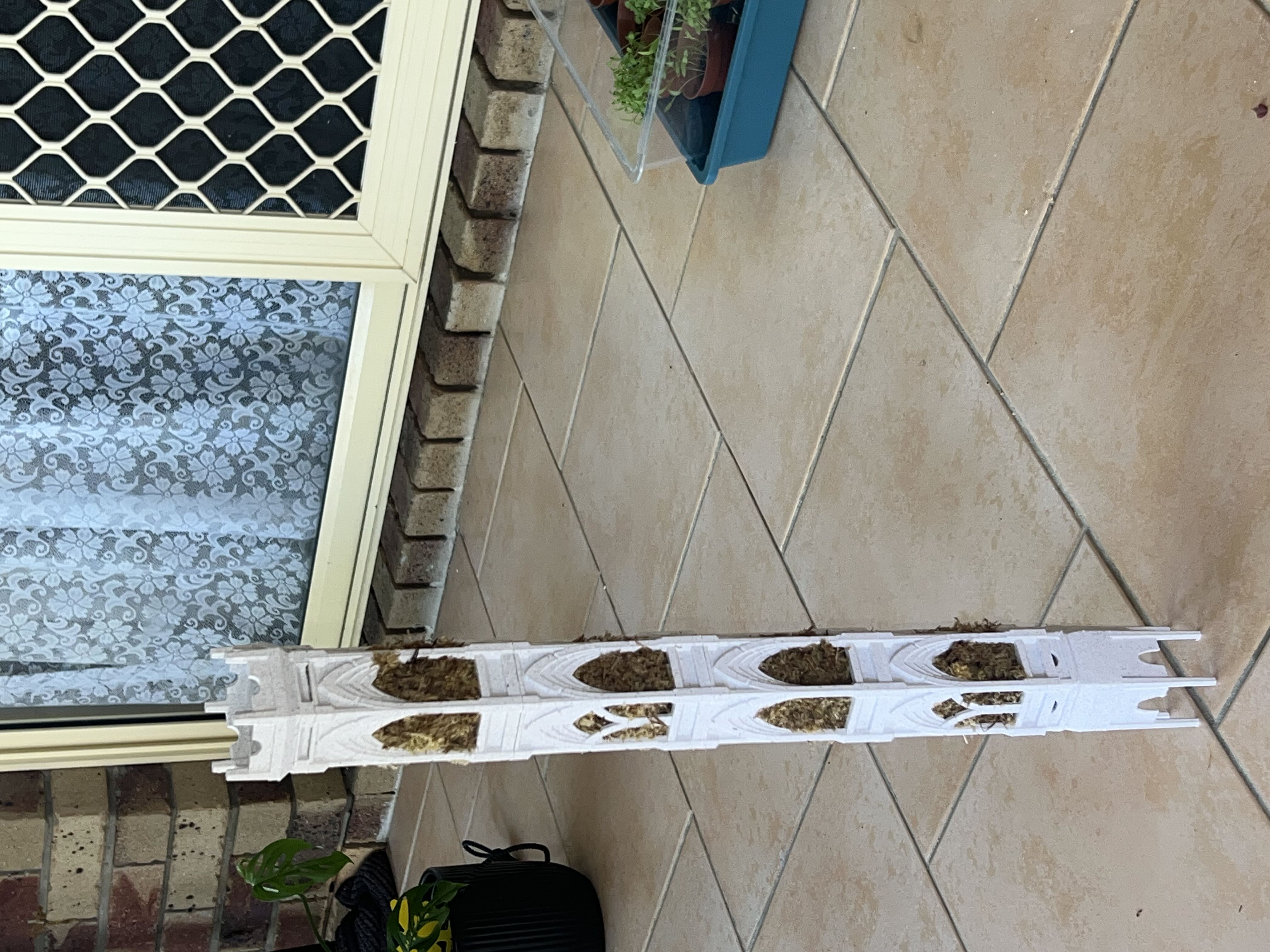 Photo from the post