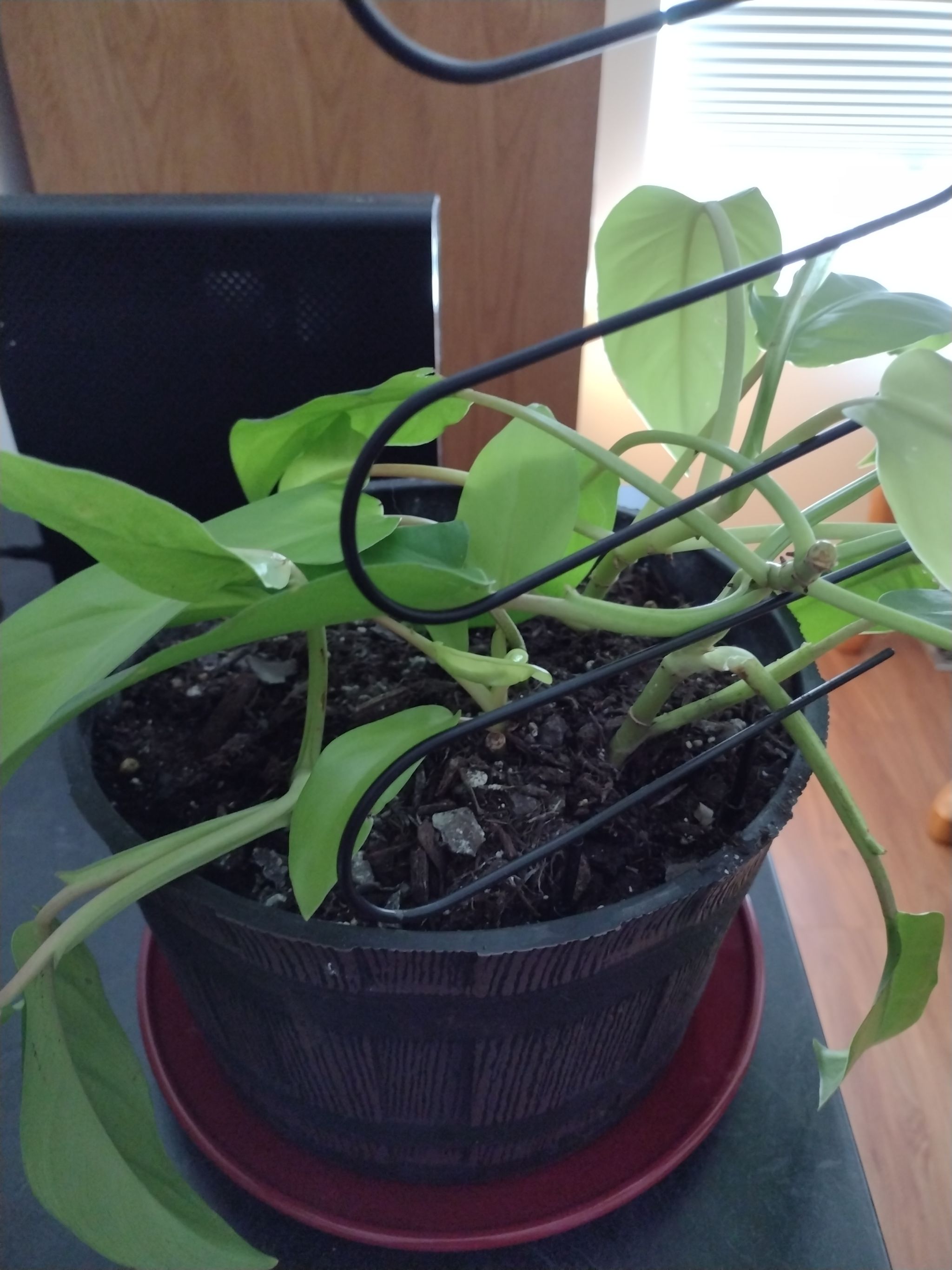 Photo from the post