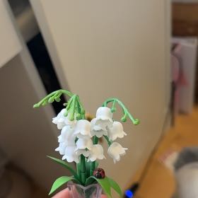 Photo of the plant species Lily-of-the-Valley by @NeatGreywillow named Hemingway on Greg, the plant care app