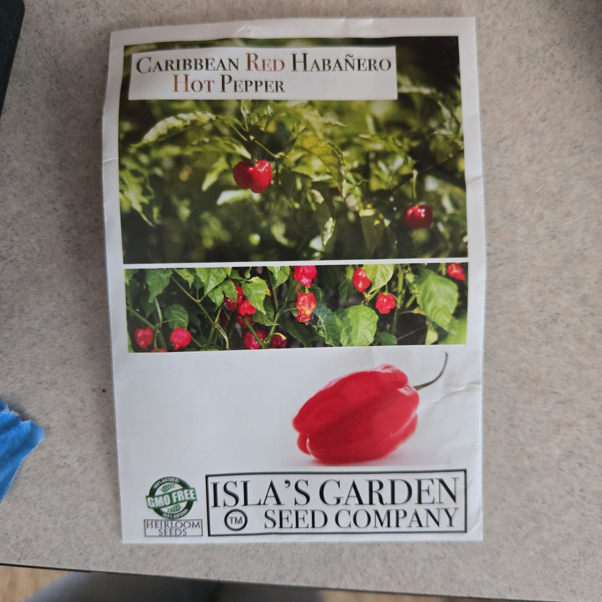 Photo of the plant species Habanero Red by @YernBabysunrose named Homer on Greg, the plant care app