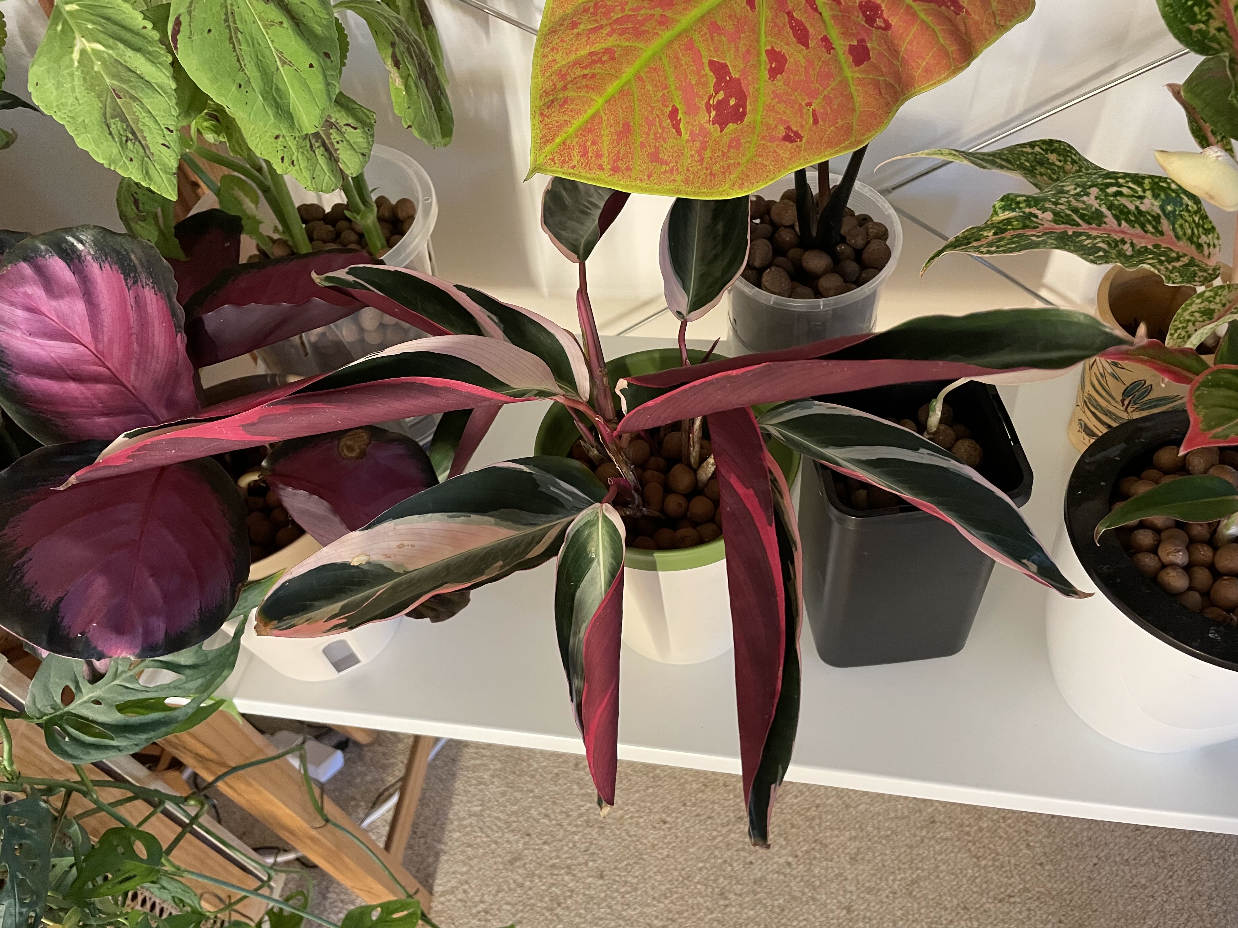 Photo from the post