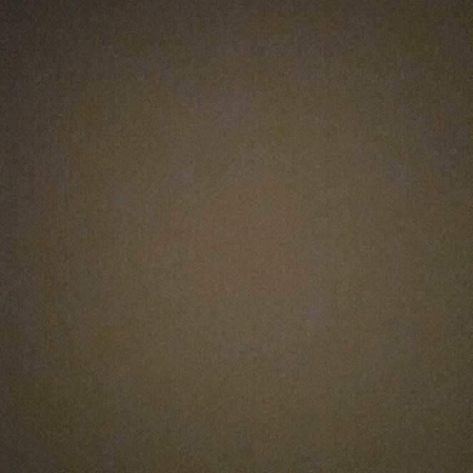 Photo of the plant species Aloha Mandevilla by @LikableLilac29 named Keanu Leaves on Greg, the plant care app