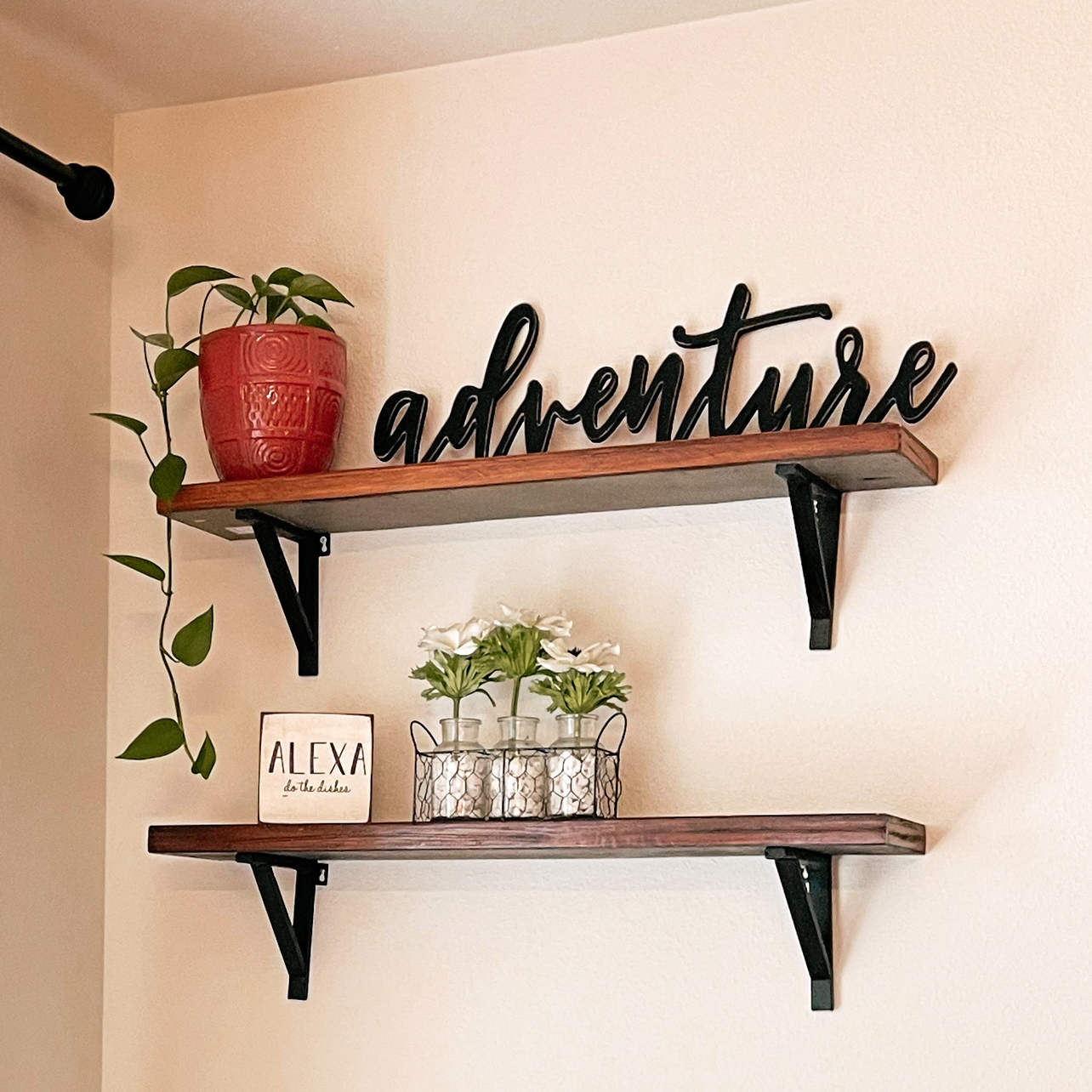 Taro Vine plant photo by @Valeriealvarez_ named Keanu Leaves on Greg, the plant care app.