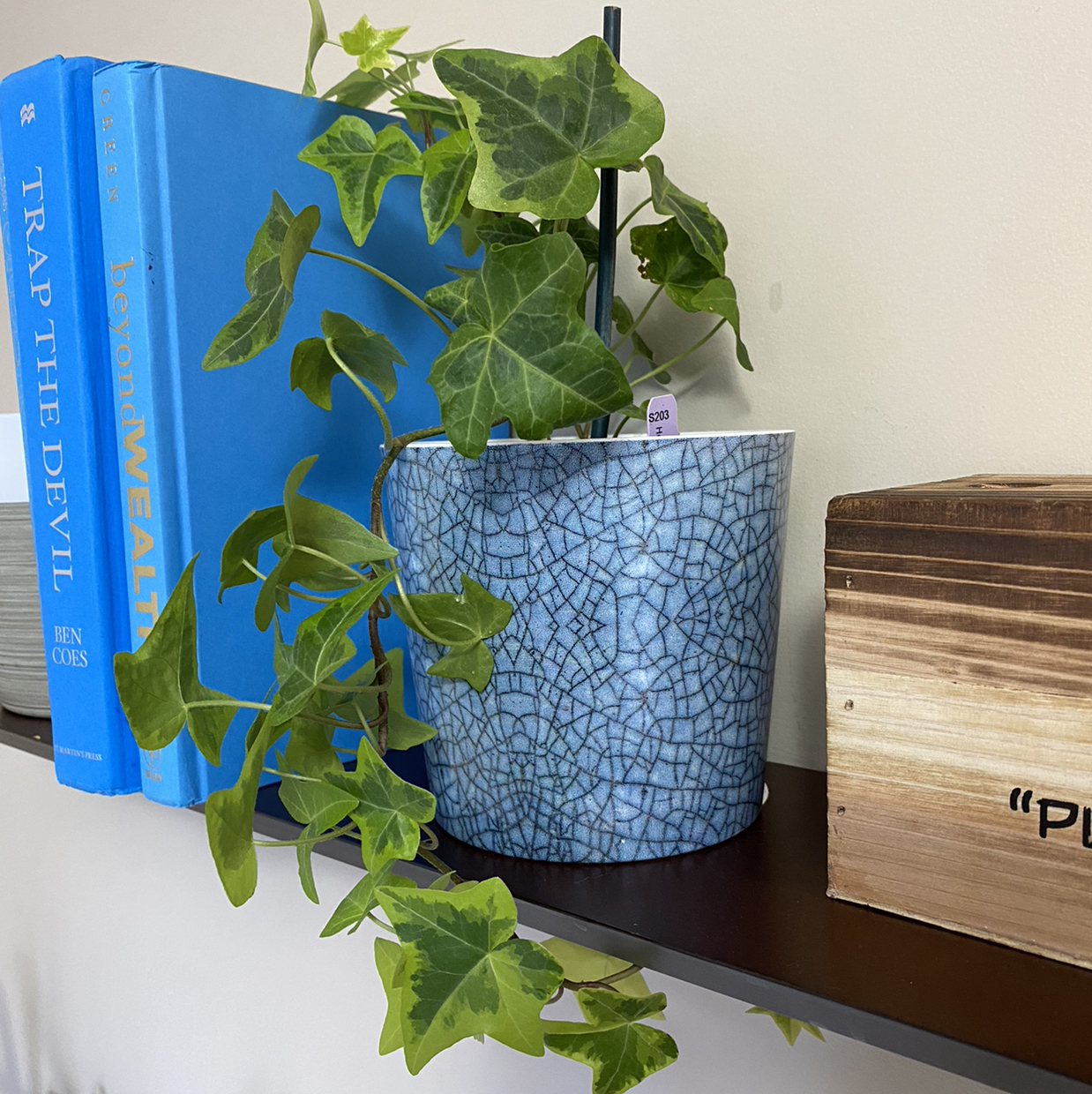 Variegated ivy plant in a blue pot on a shelf with books and a wooden box.