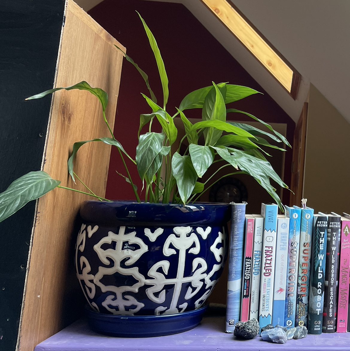 Peace Lily plant photo by @iz.antoinette_ named Fredrickson on Greg, the plant care app.