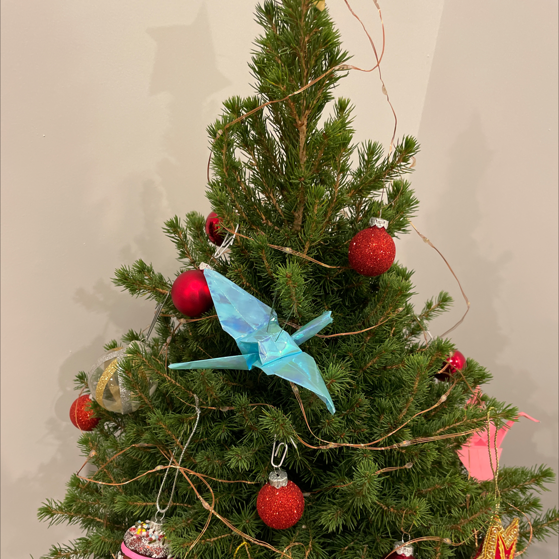 Decorated Norway Spruce with ornaments and lights, appears healthy.