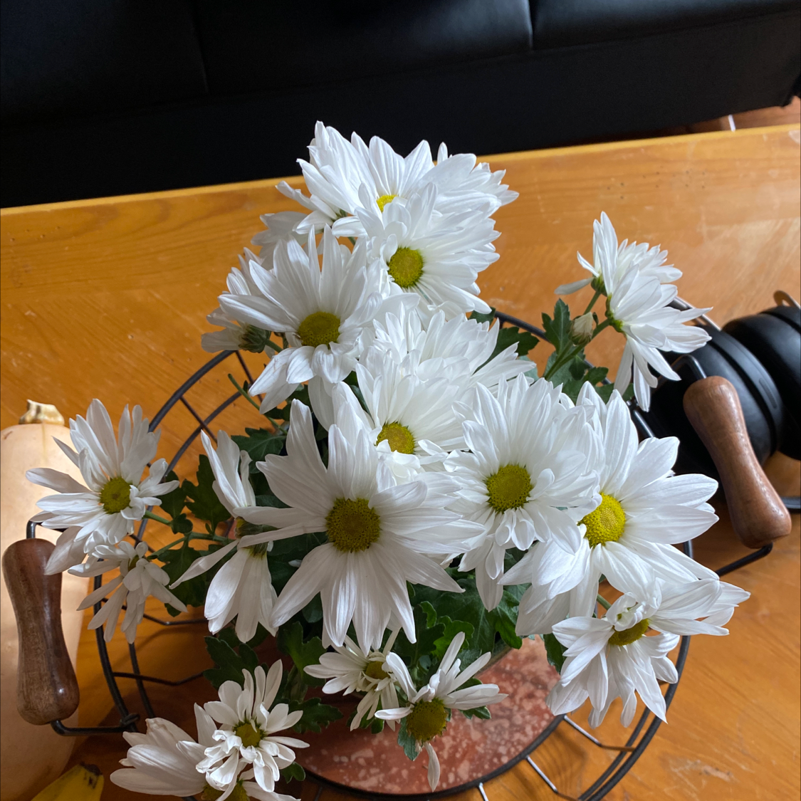 Bouquet of Ox-Eye Daisies with white petals and yellow centers in a container on a wooden surface.