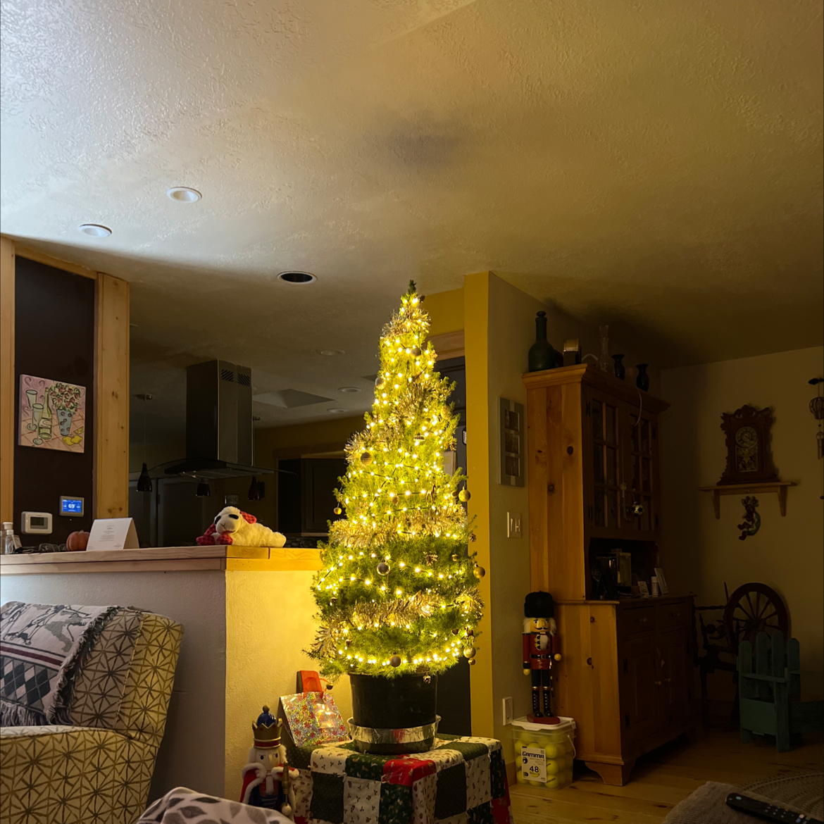 Dwarf Alberta Spruce decorated with lights, placed indoors.