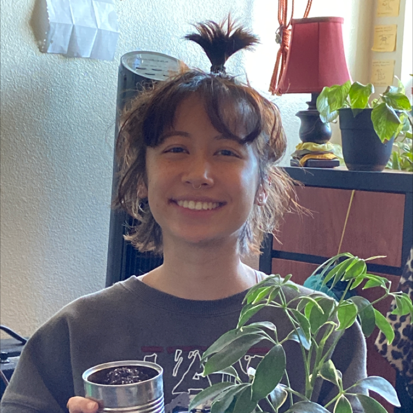 Umbrella Tree plant photo by @AssiduousRimu named Aria on Greg, the plant care app.