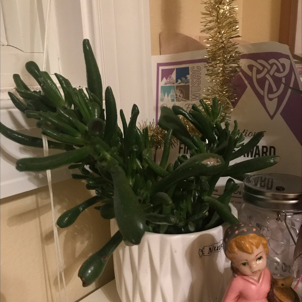 Lucky Plant plant photo by @tango named Munchers on Greg, the plant care app.