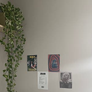 Marble Queen Pothos plant photo by Plantmom2022 named Oscar on Greg, the plant care app.