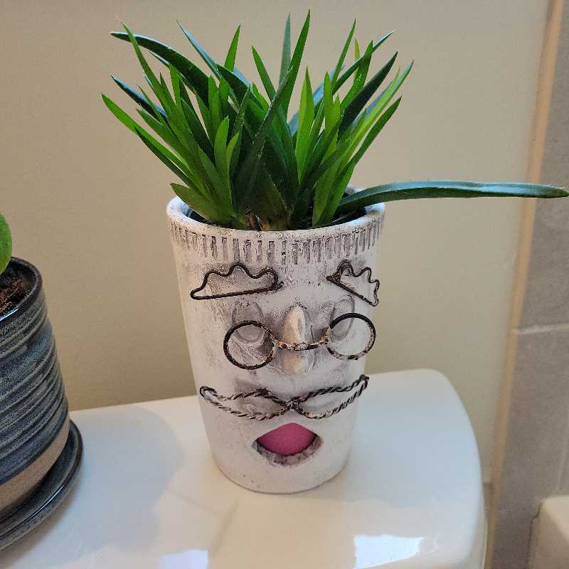 Alworthia 'Black Gem' plant in a decorative face pot with green leaves.