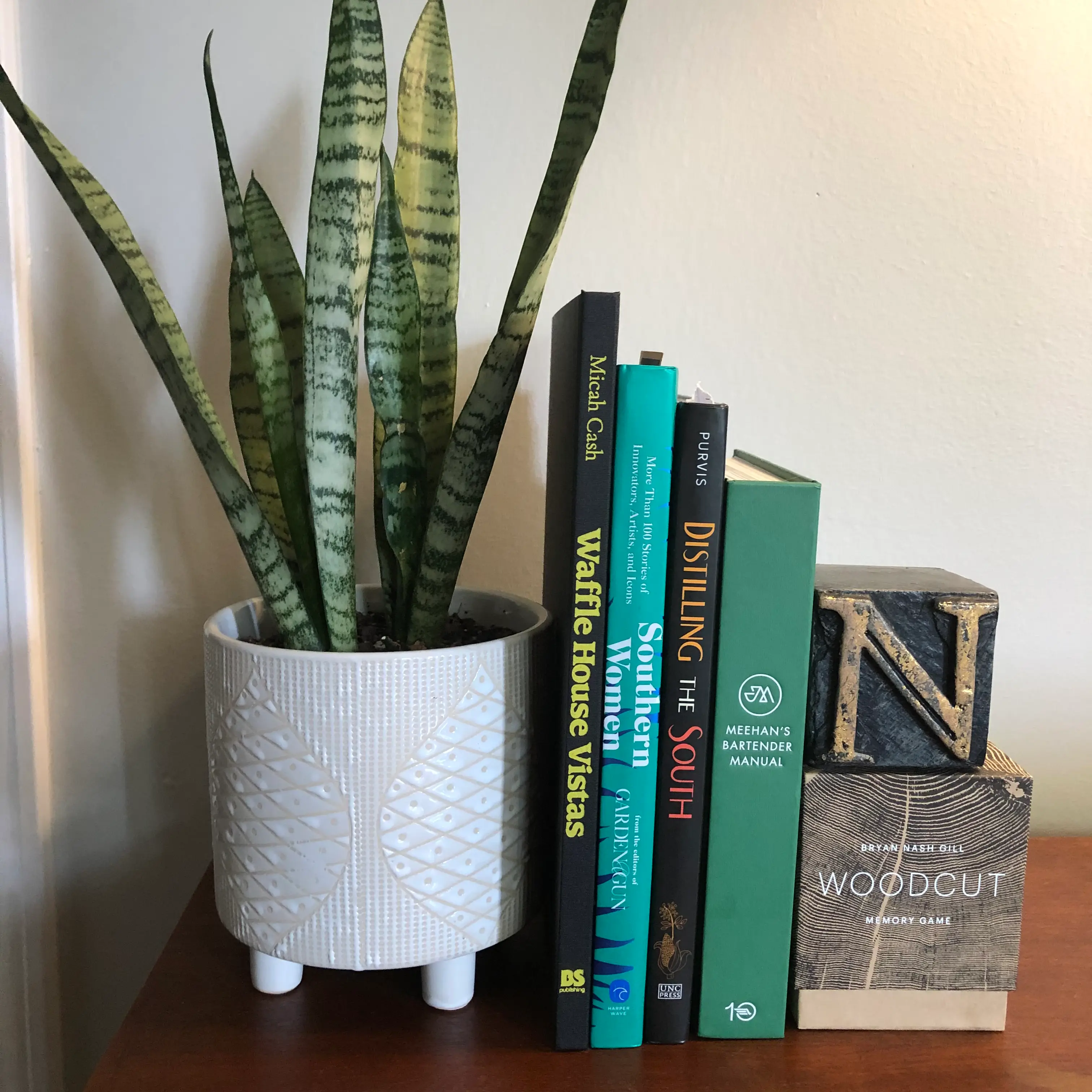 Snake Plant plant photo by @greenvy named Snek on Greg, the plant care app.