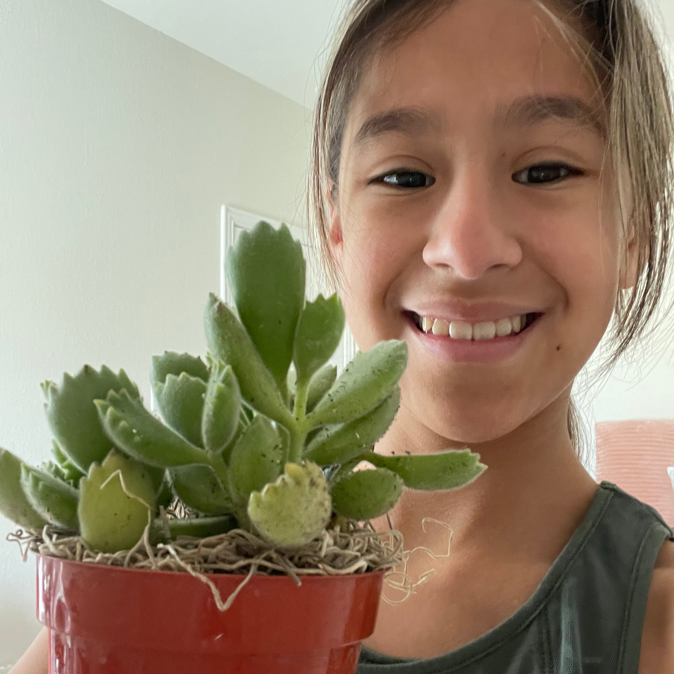 Bear's Paw plant photo by @Kay named Baylor on Greg, the plant care app.