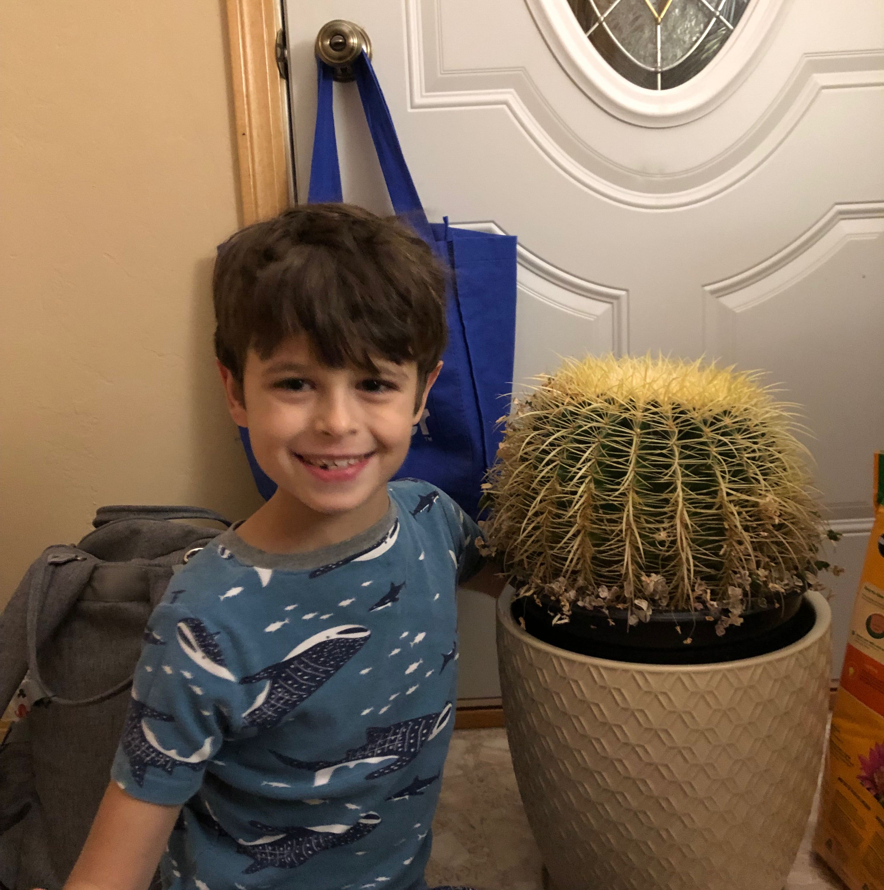 Golden Barrel Cactus plant photo by @AceCosmo named Spike on Greg, the plant care app.