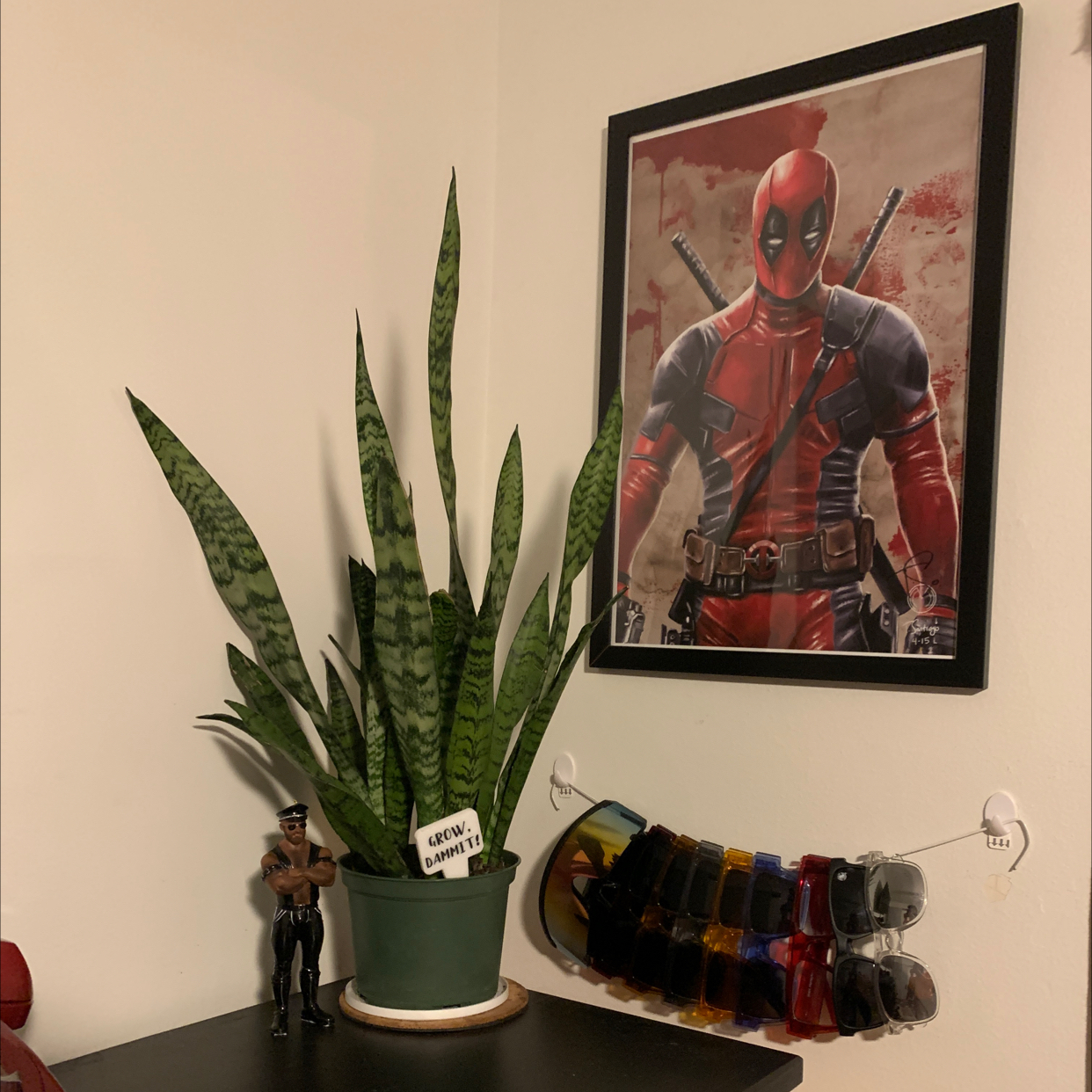 Snake Plant plant photo by @RicSuave82 named Snake on Greg, the plant care app.