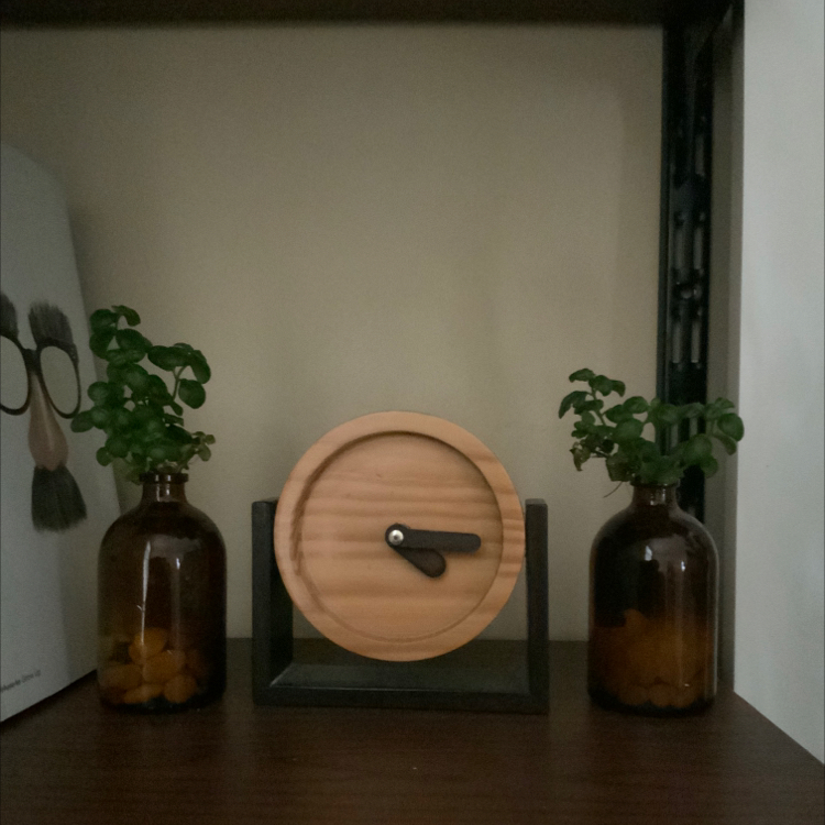 Photo of the plant species Bubble Plant by @wndprtm named Boobly on Greg, the plant care app
