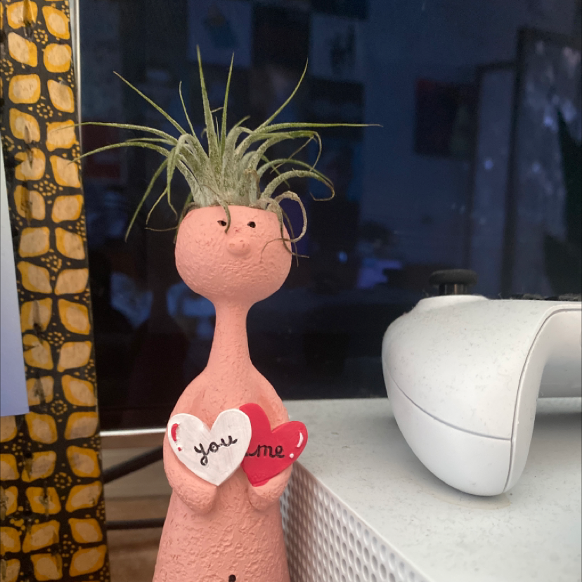 Spreading Airplant on a decorative figurine with a gaming controller in the background.