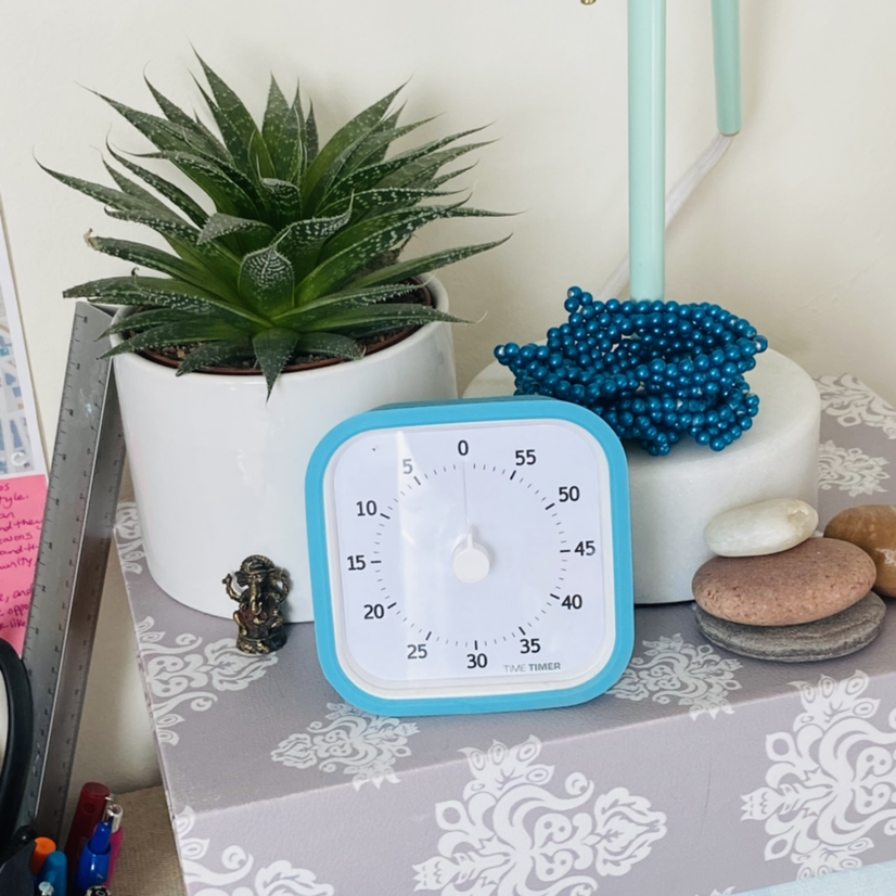 Lace Aloe plant in a white pot on a decorated surface with a timer and decorative items.