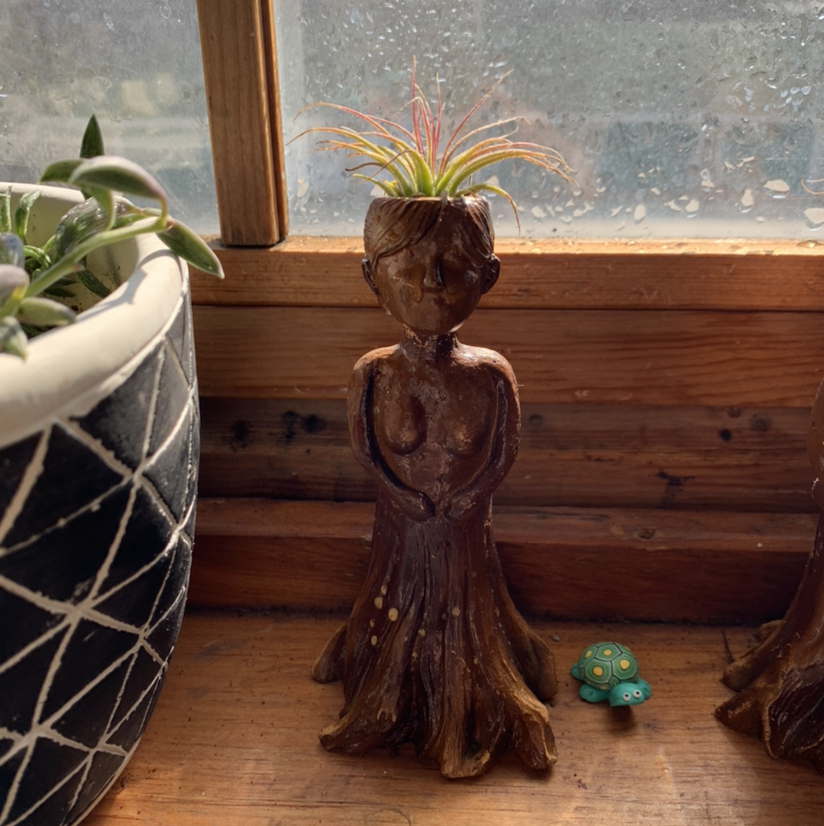 Bulbosa Air Plant in a decorative human-shaped planter indoors by a window.