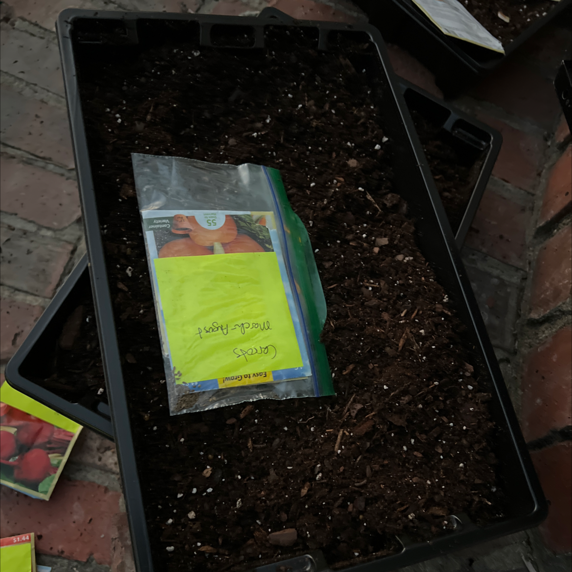 Tray filled with soil and a packet of Wild Carrot seeds.