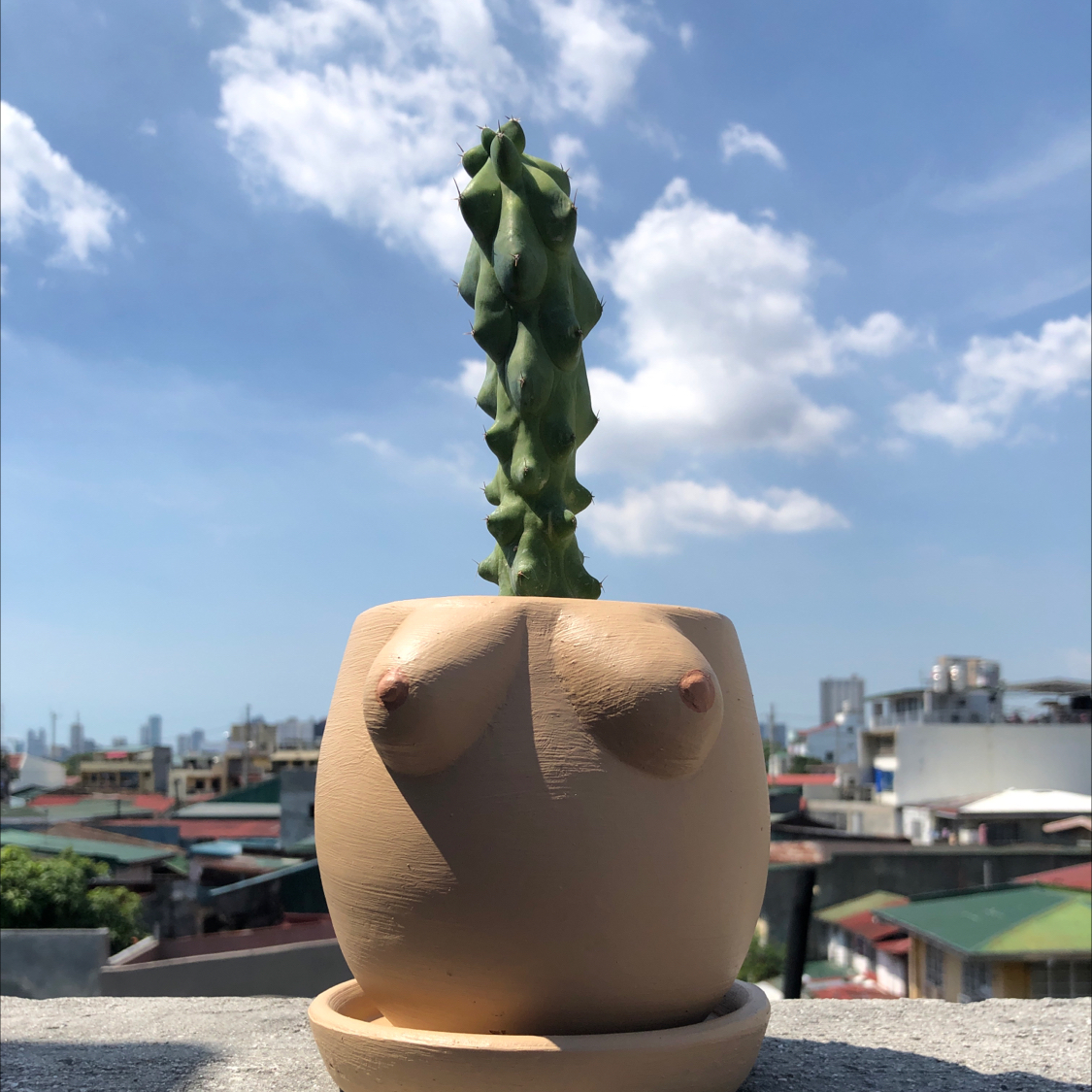 Boobie Cactus plant photo by @Miggiflo named Jam on Greg, the plant care app.