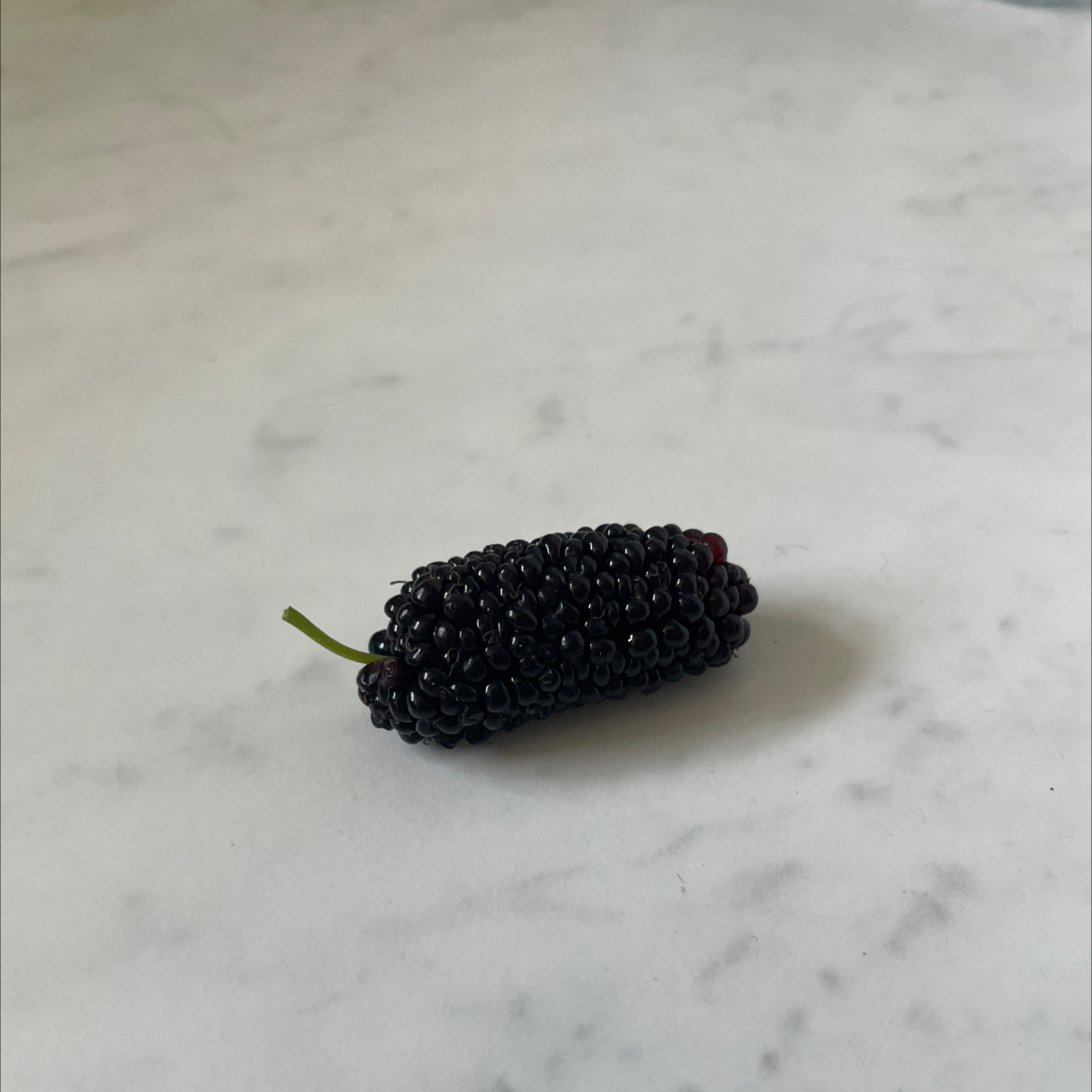 A single healthy mulberry fruit on a light surface.