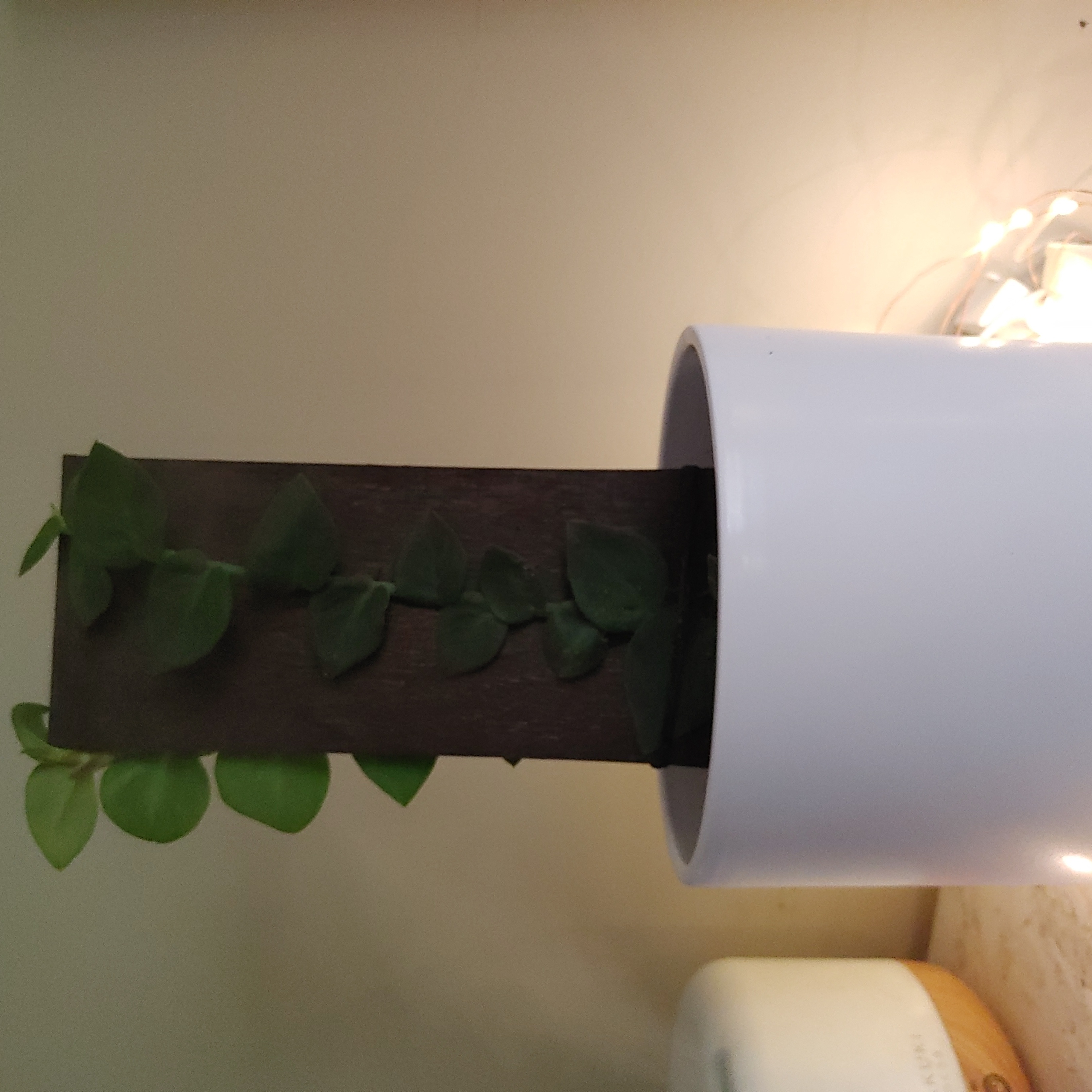 Shingle Plant growing vertically on a wooden plank inside a white pot.