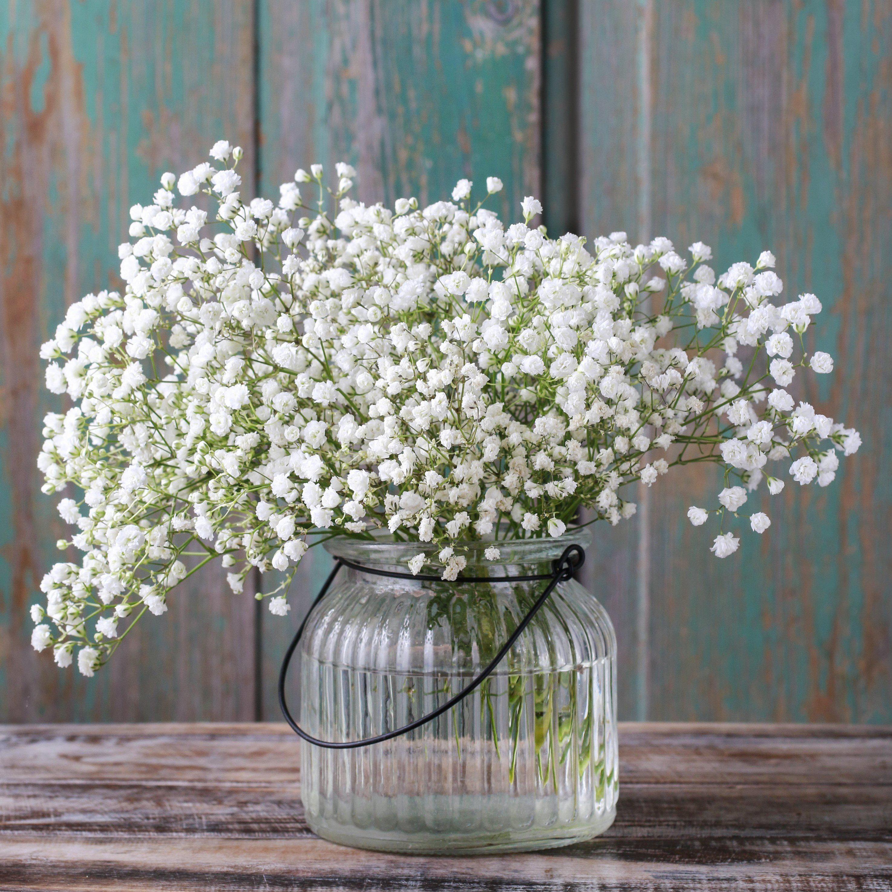Bouquet of Baby's Breath (Gypsophila) in a glass jar with a rustic wooden background.