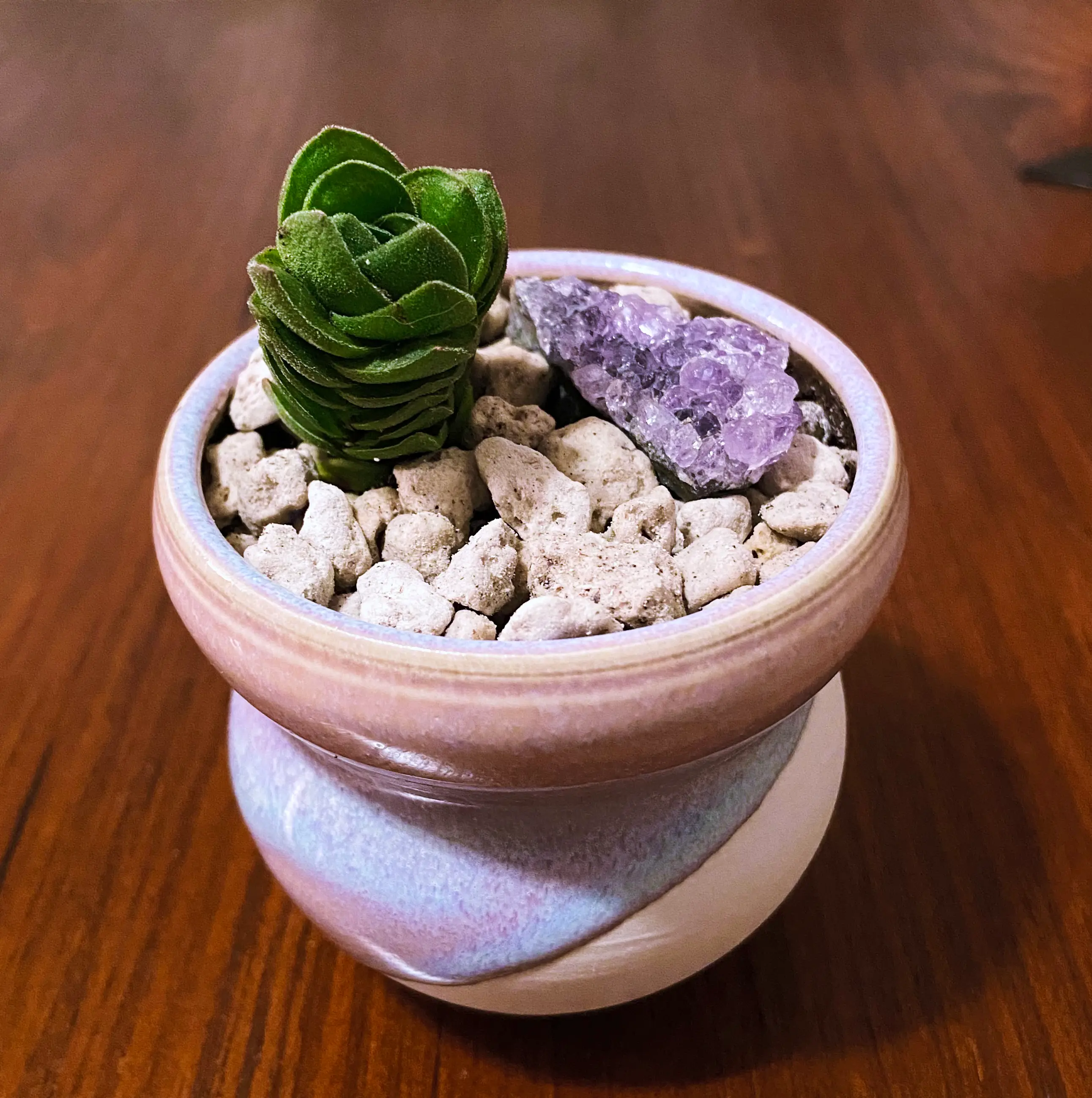 Crassula 'Buddha's Temple' plant in a pot with rocky soil and an amethyst crystal.