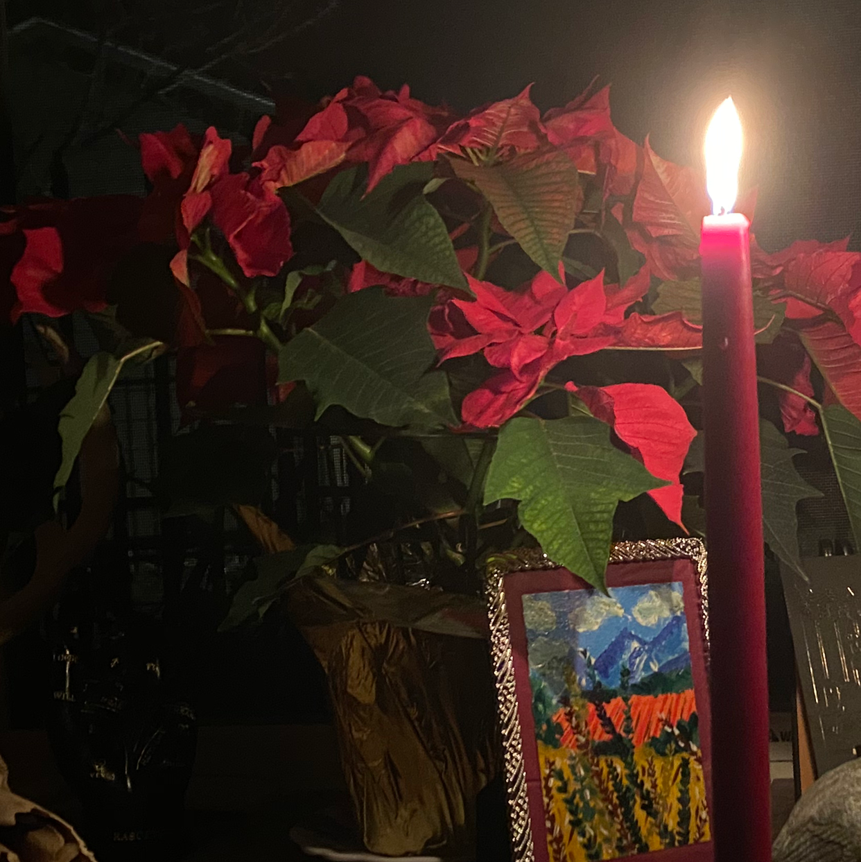 Poinsettia plant with red bracts and green leaves, indoors with a candle and decorations.