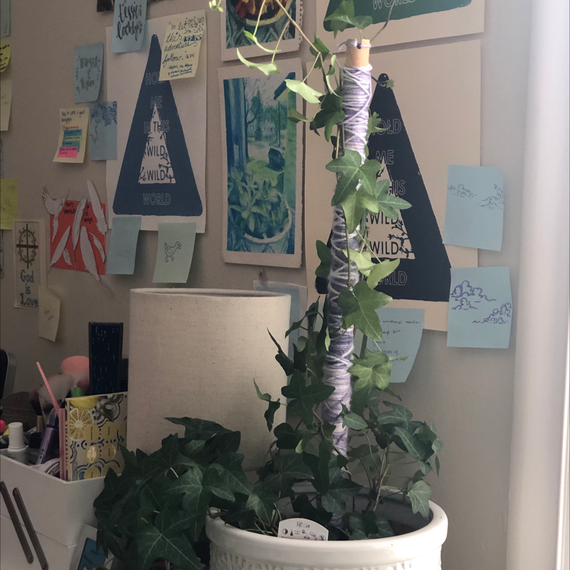 English Ivy plant photo by Tessie named English ivy on Greg, the plant care app.