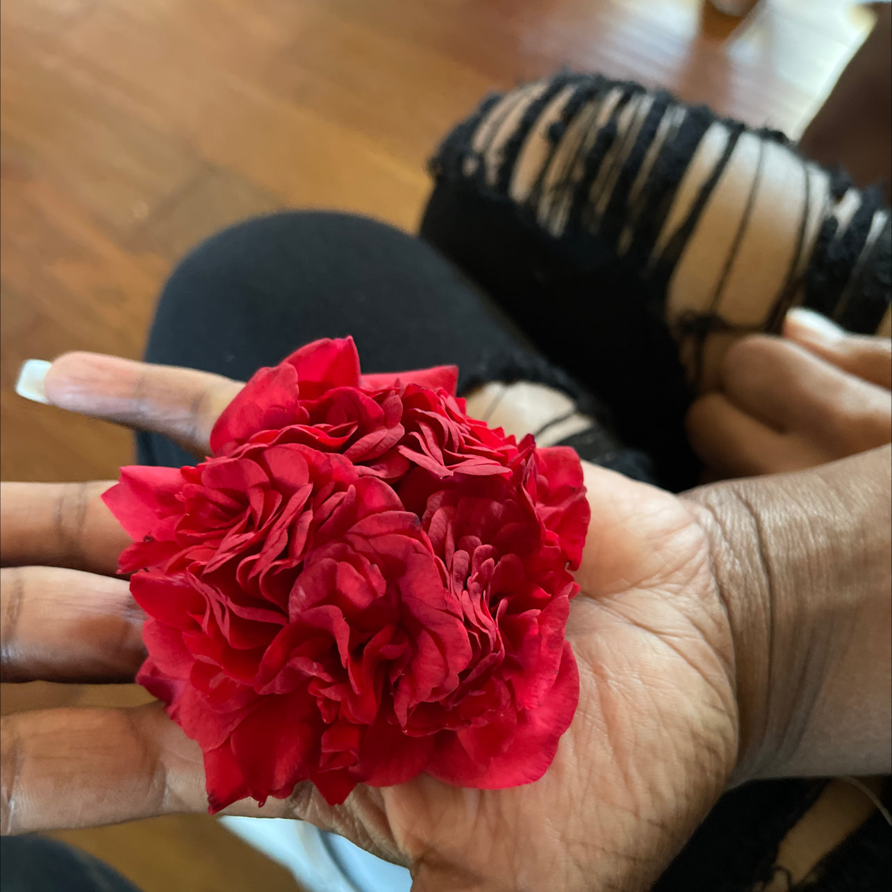 Why Is My Camellia Dropping Leaves?