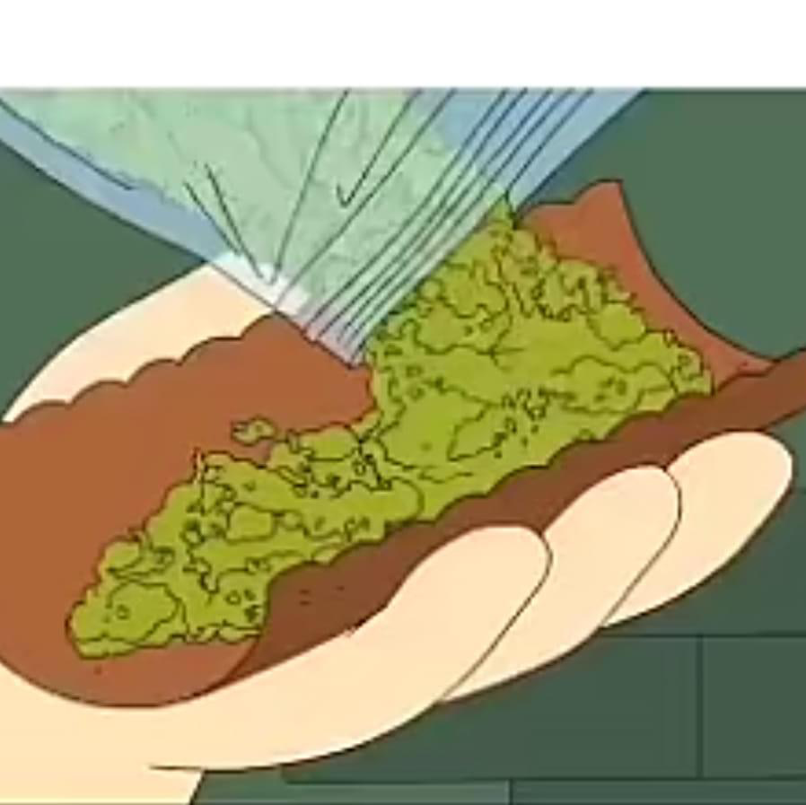 Marijuana plant photo by @Tragedyfinest named Gelato? on Greg, the plant care app.