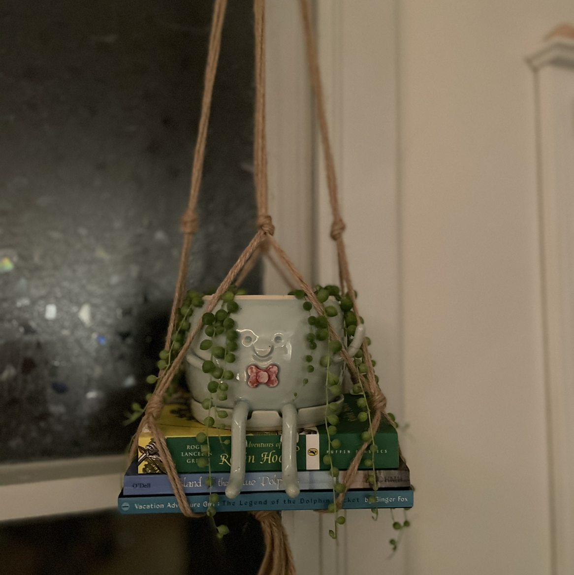 String of Pearls plant photo by @Rae0807 named Gerald #1 on Greg, the plant care app.